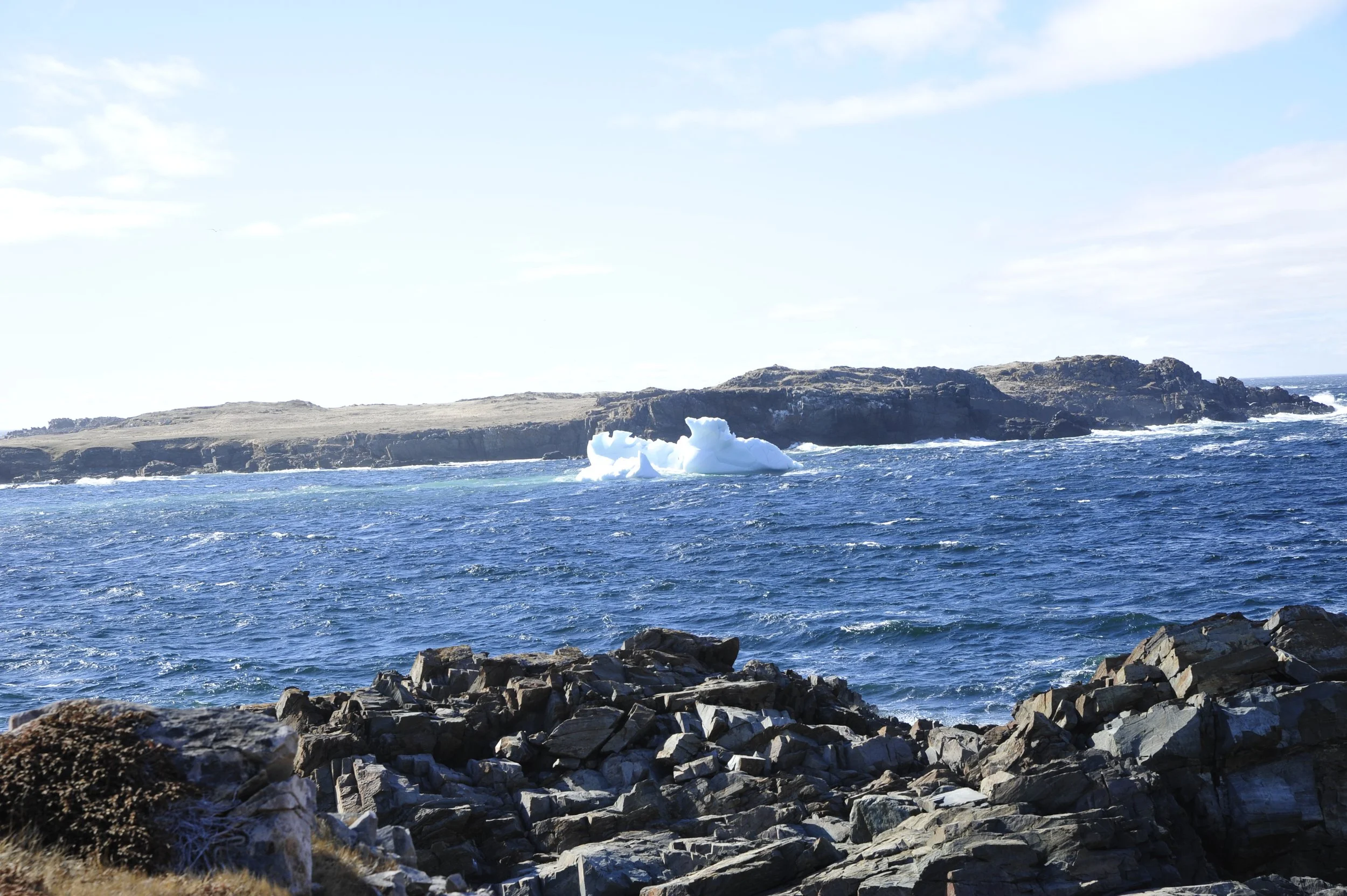 _DSC7572.JPG