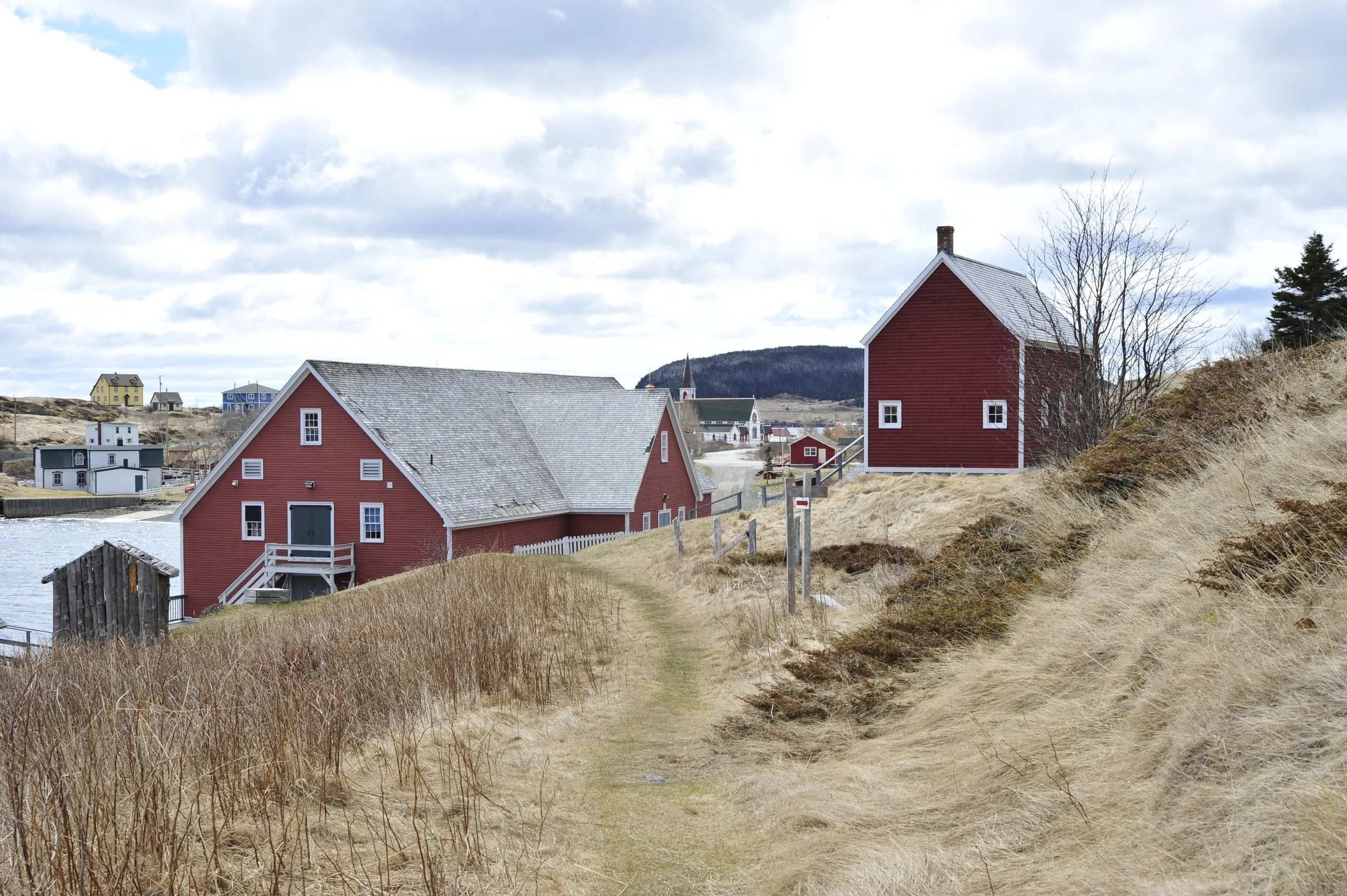 _DSC7203.JPG