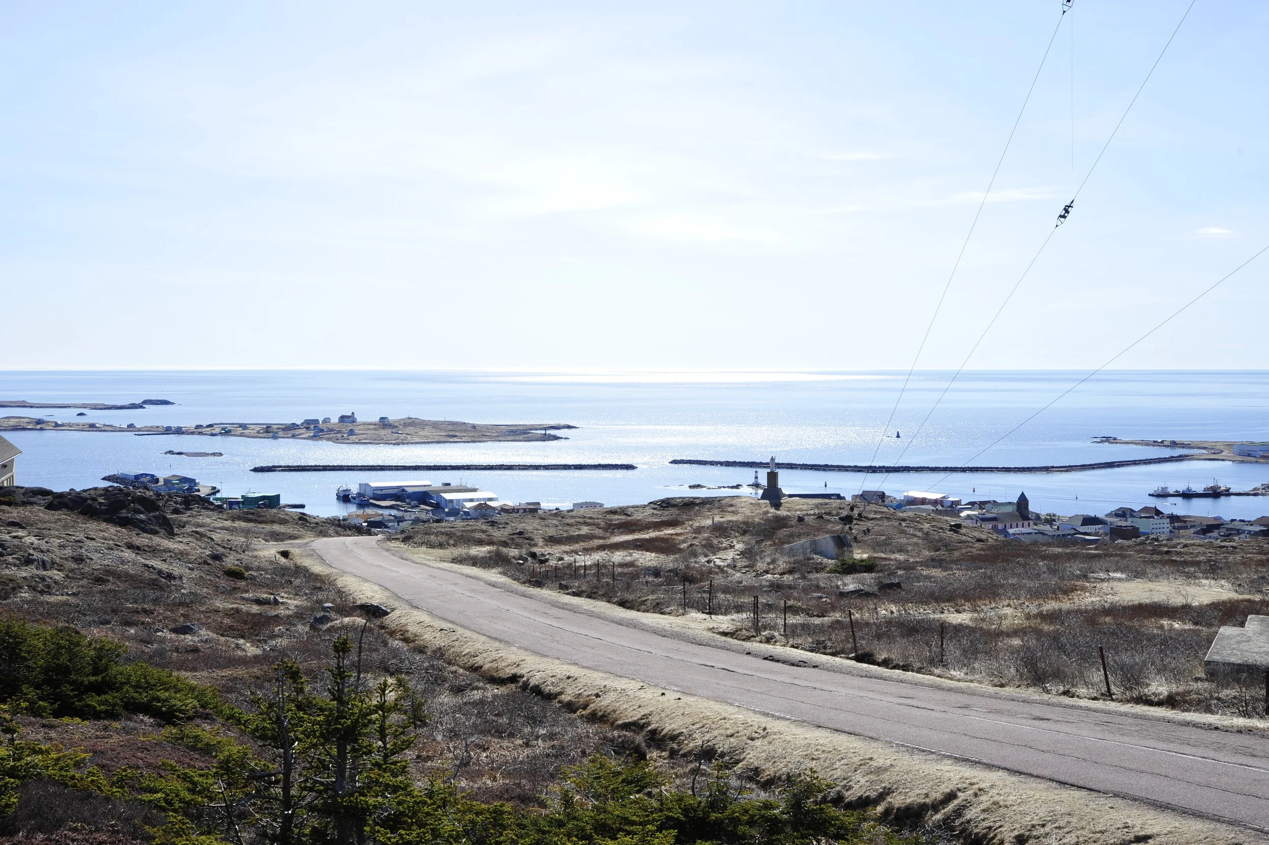 _DSC6735.JPG
