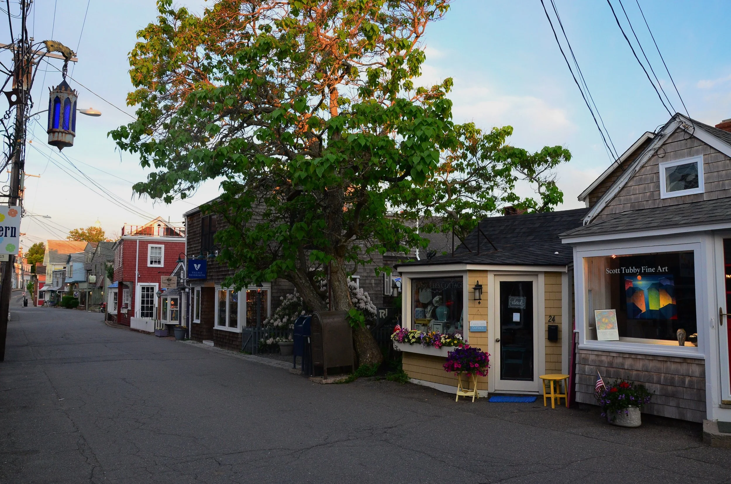 DSC_1311.JPG