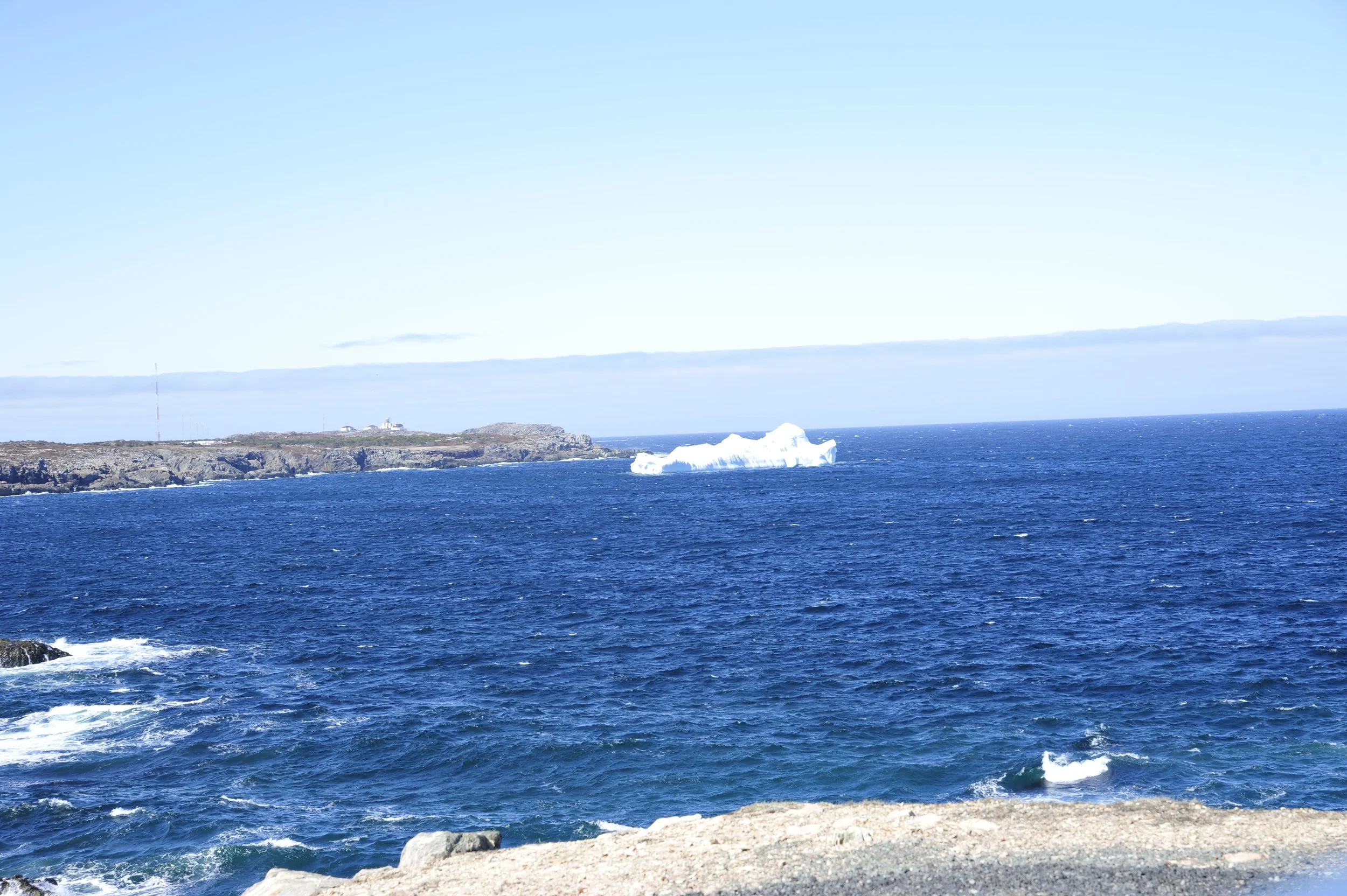 _DSC7435.JPG