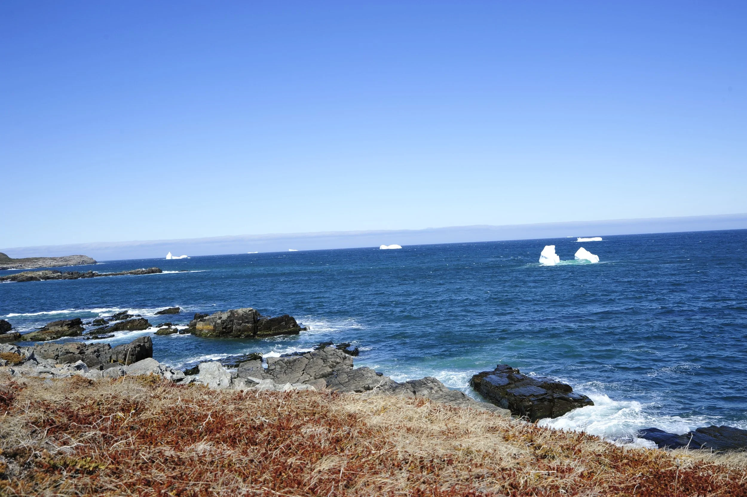 _DSC7384.JPG