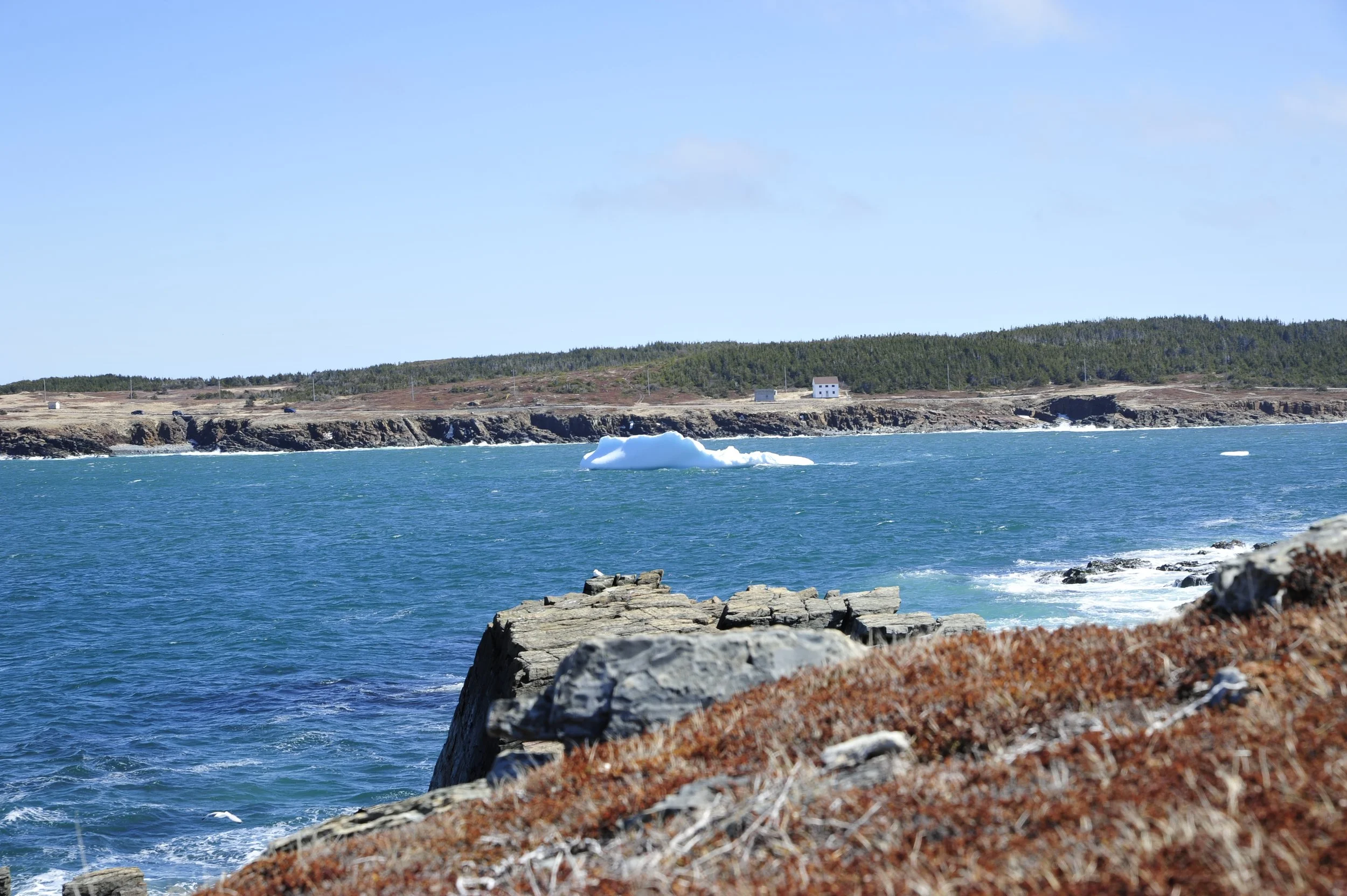 _DSC7387.JPG