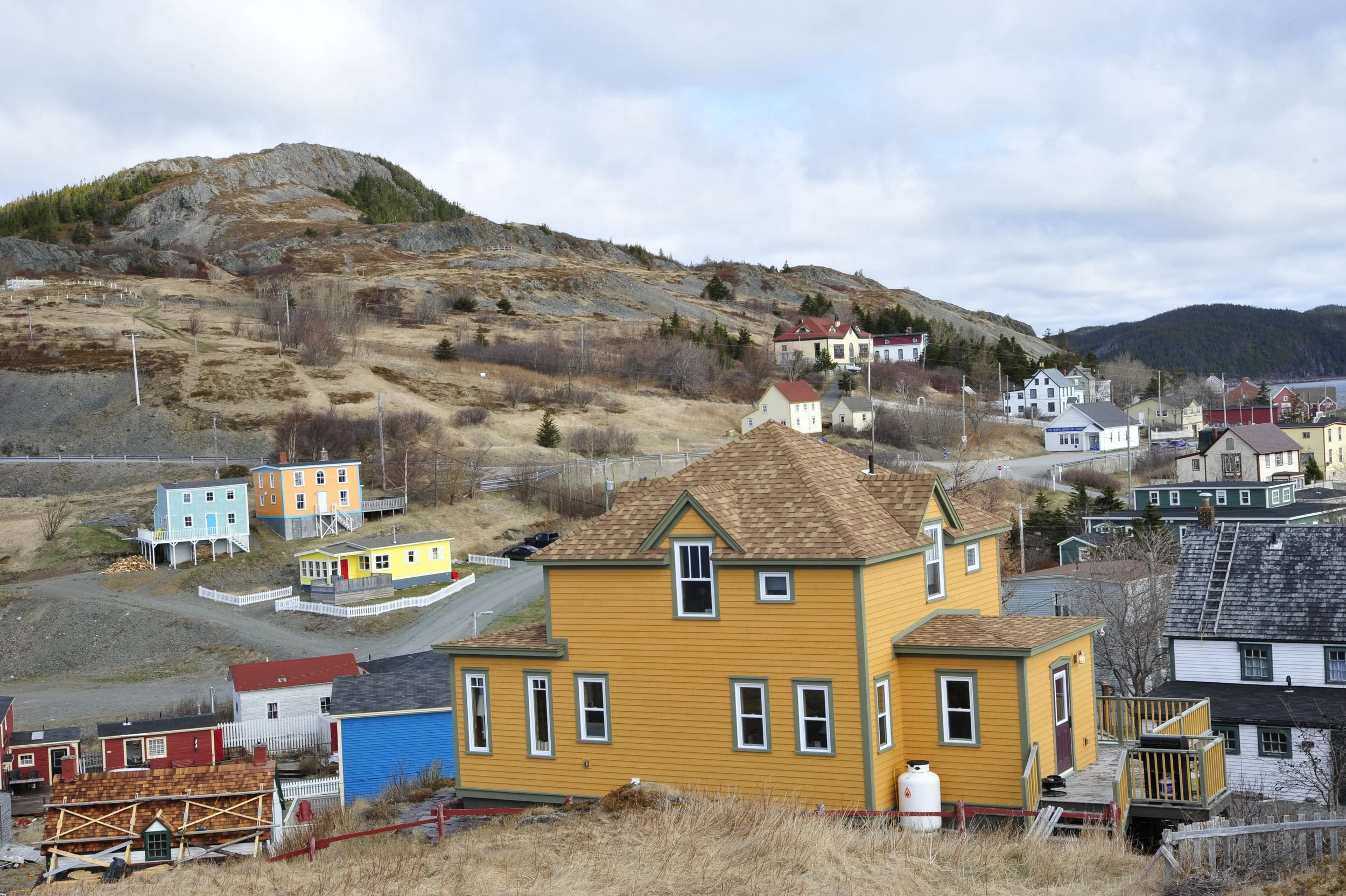 _DSC7065.JPG