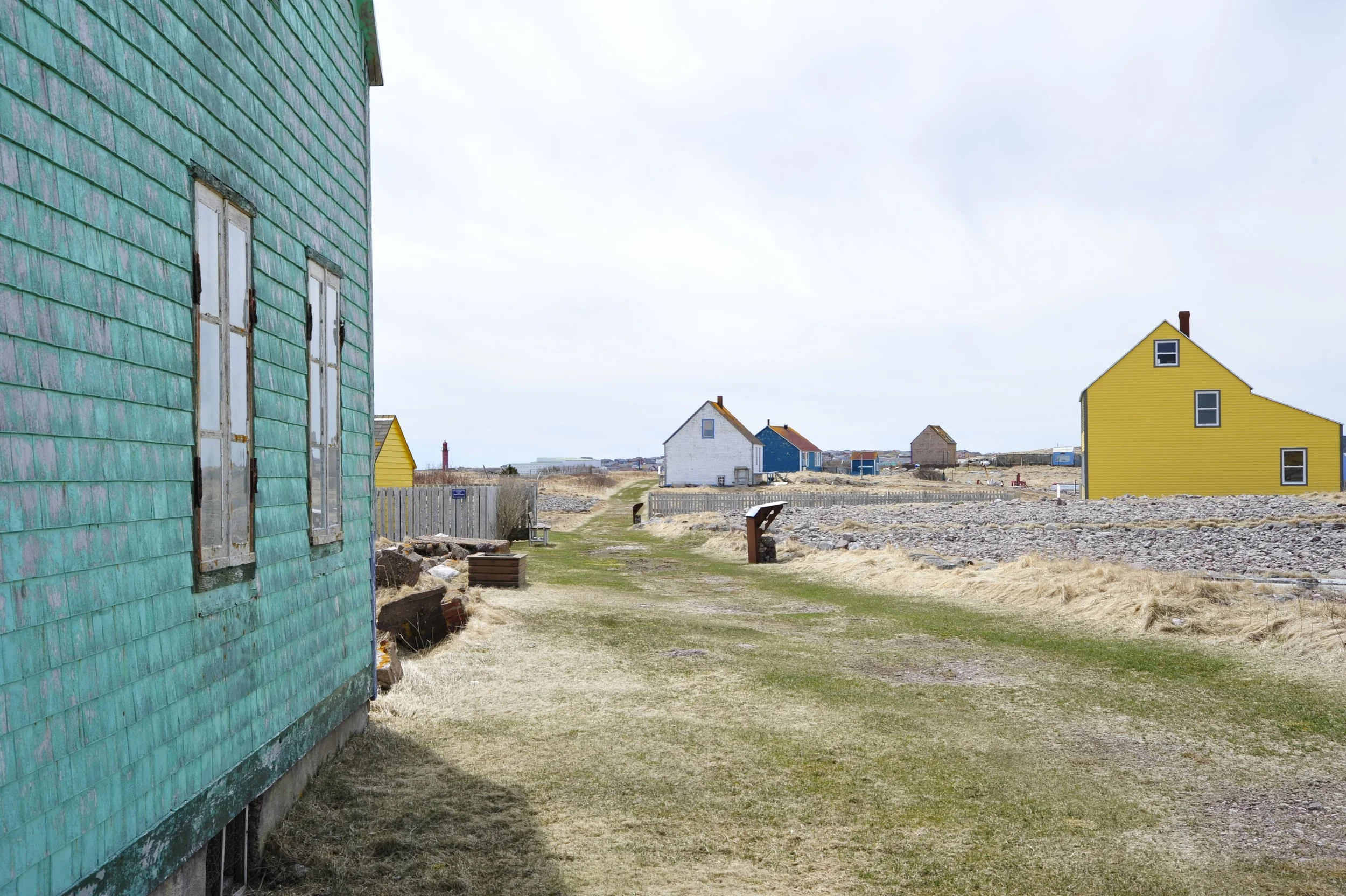 _DSC6887.JPG