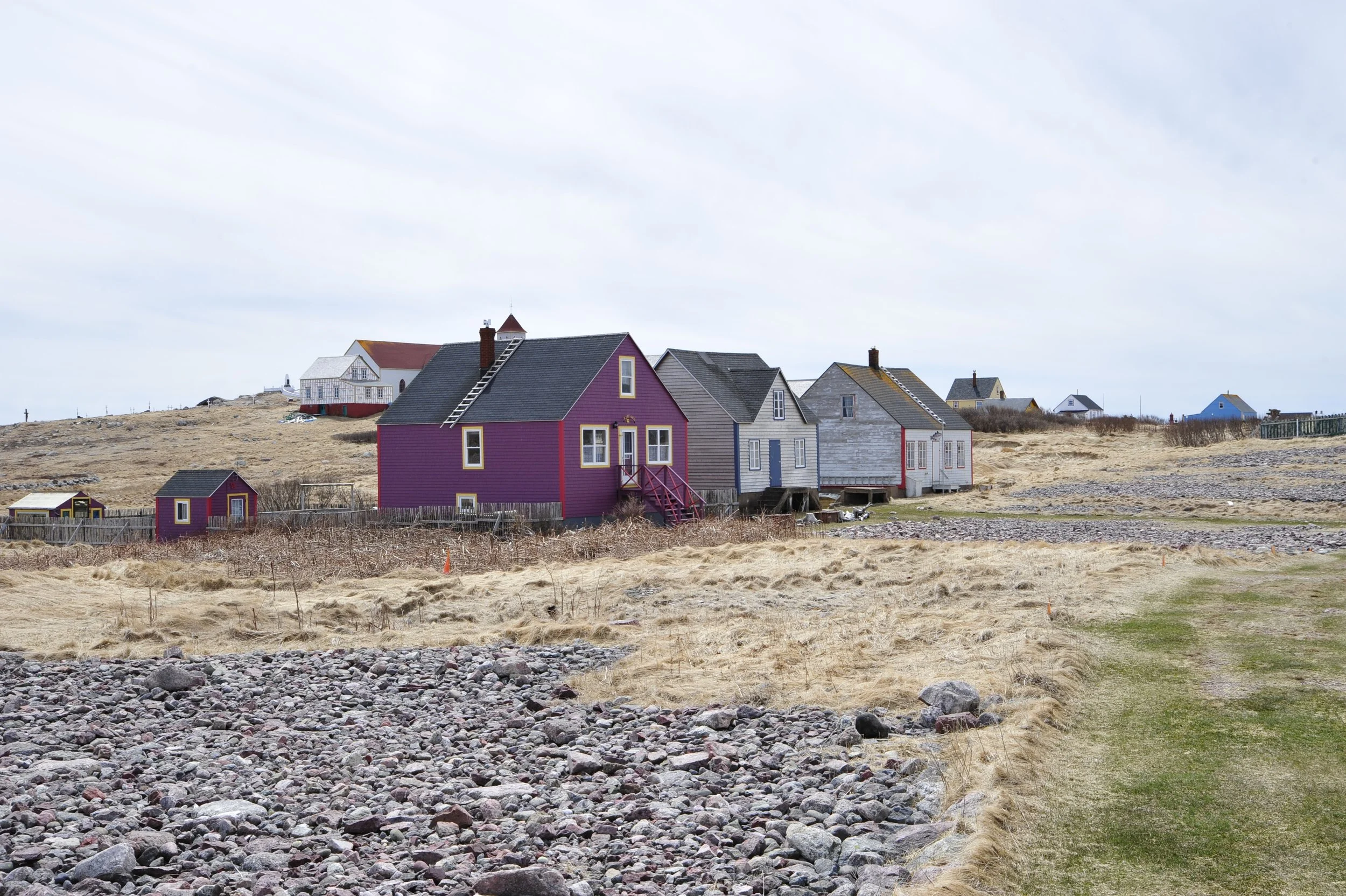 _DSC6883.JPG