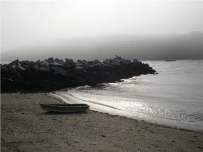 Alina Gallo, Monhegan , photograph, 2011 Residency Artist