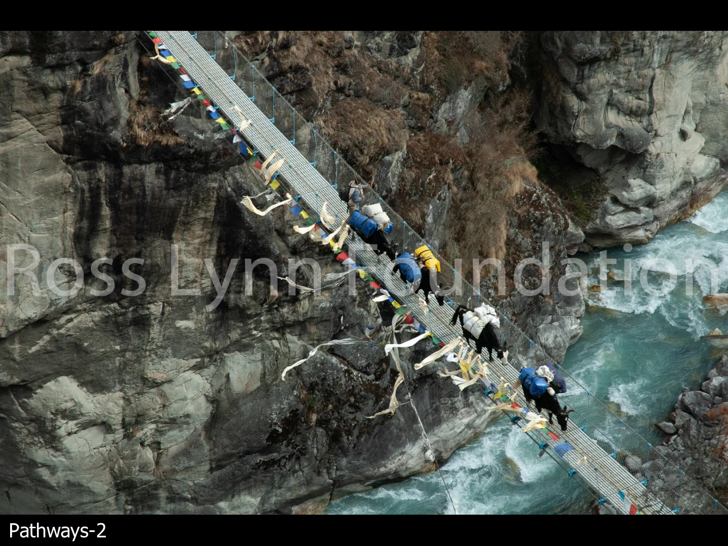 Pathways-02.jpg