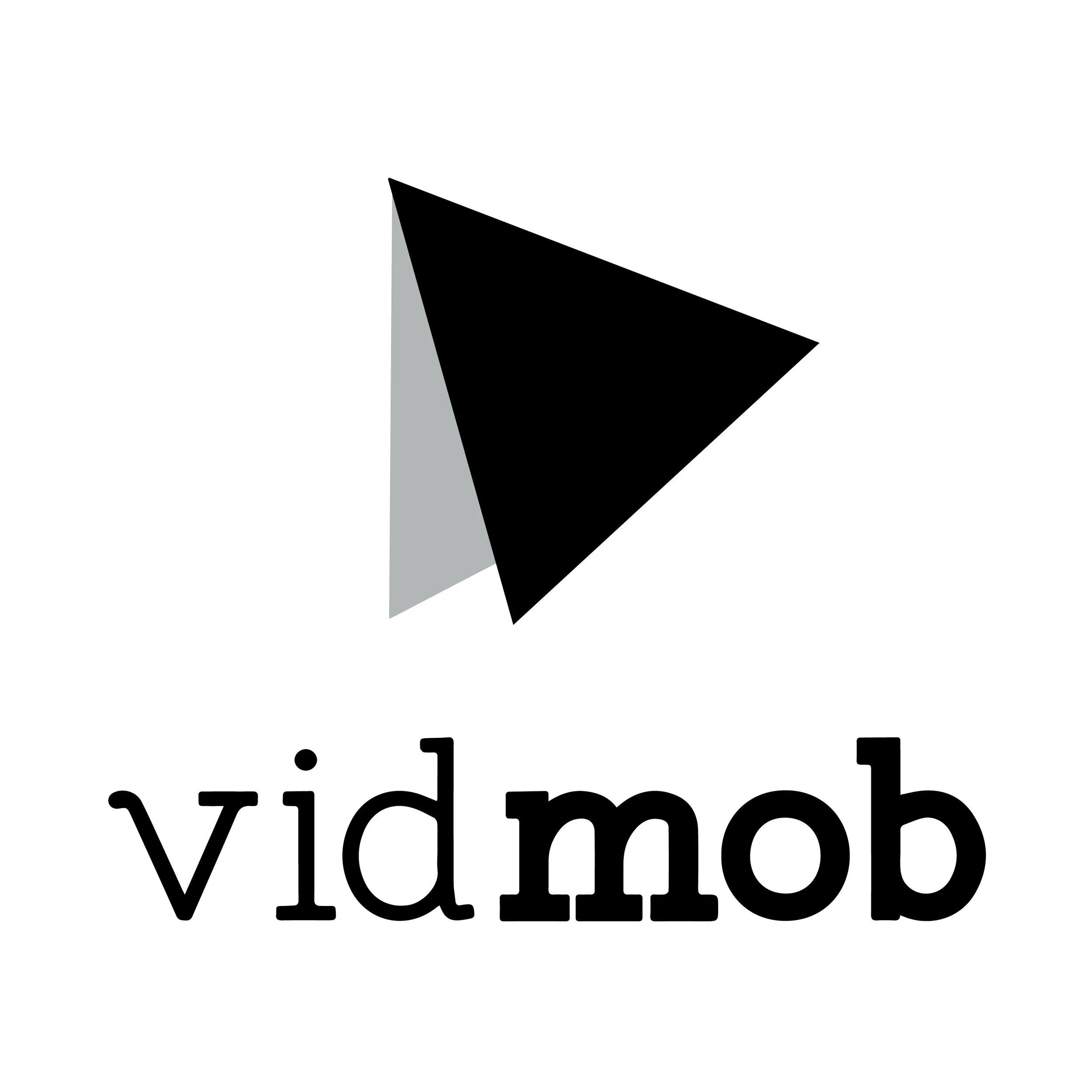 vibmod-logo-1024x1024-01.jpg