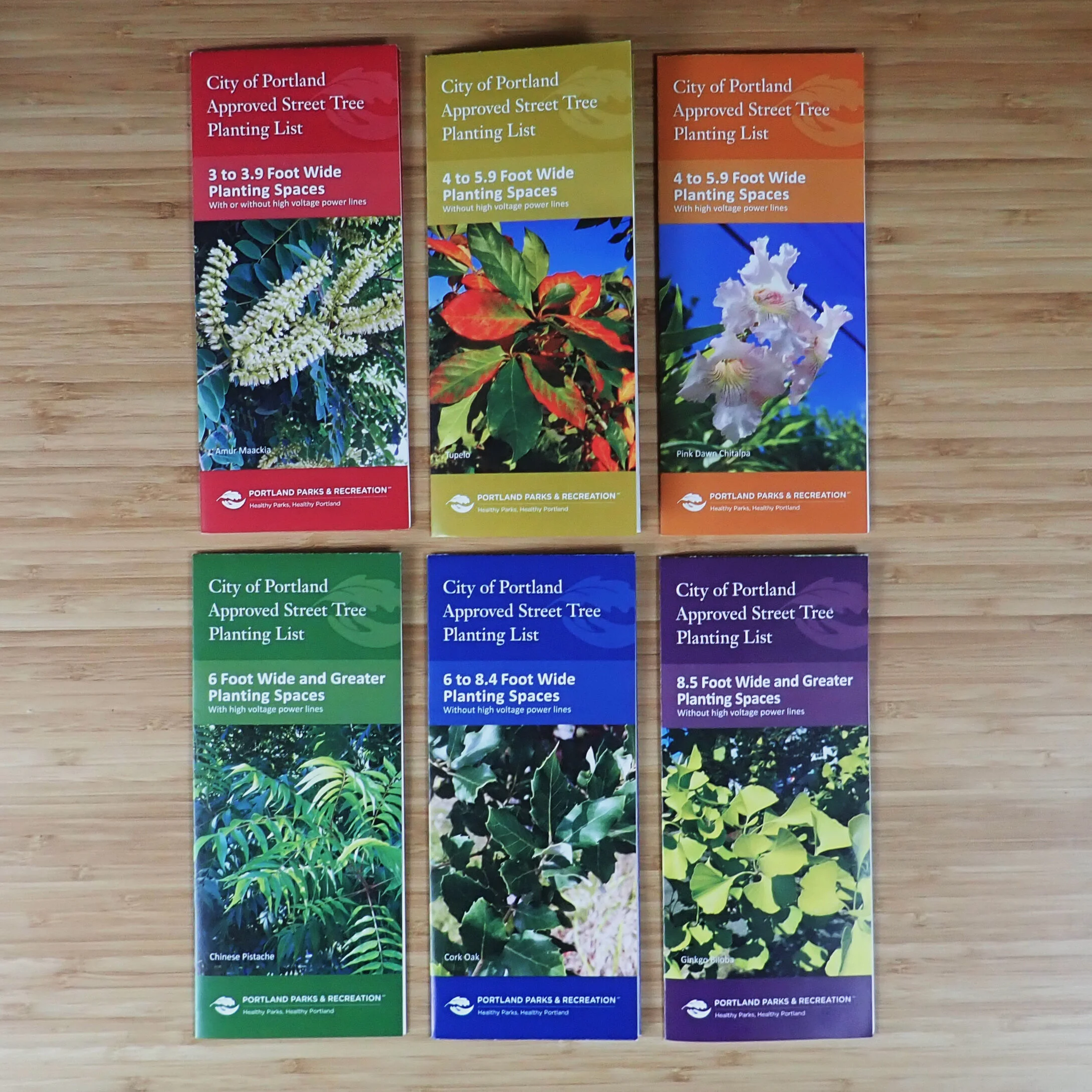  Urban Forestry brochure set   