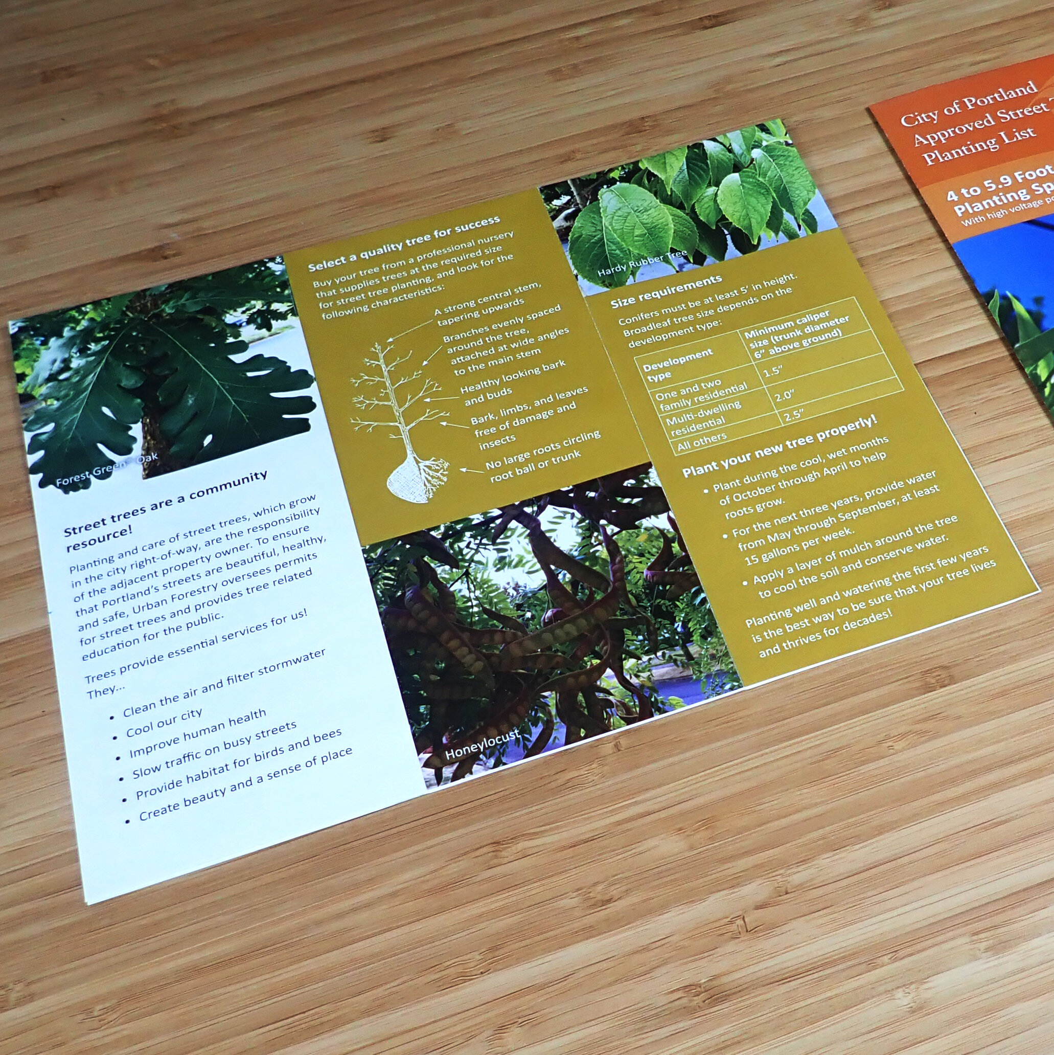  Urban Forestry brochure, inside quarter panel 