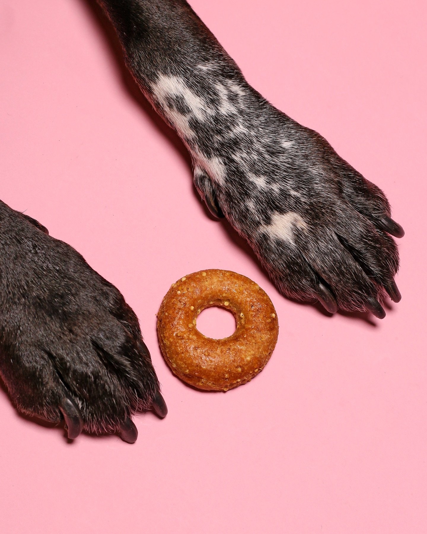 Give your doggy a donut today 🐾

Our Doggy Donuts are made daily so they&rsquo;re always fresh for your pup!