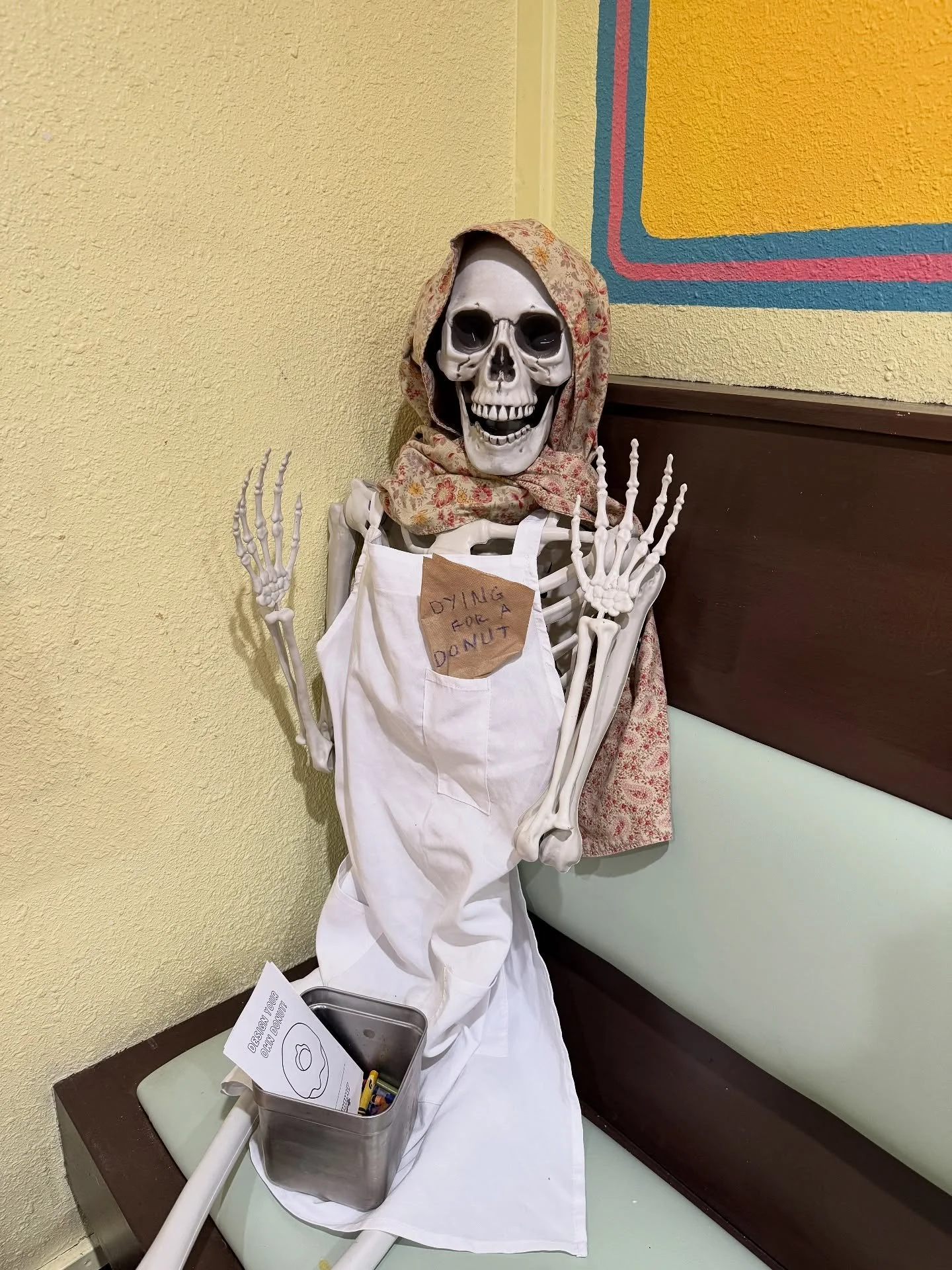 Mizz Bonez is back &amp; dying for a donut..
