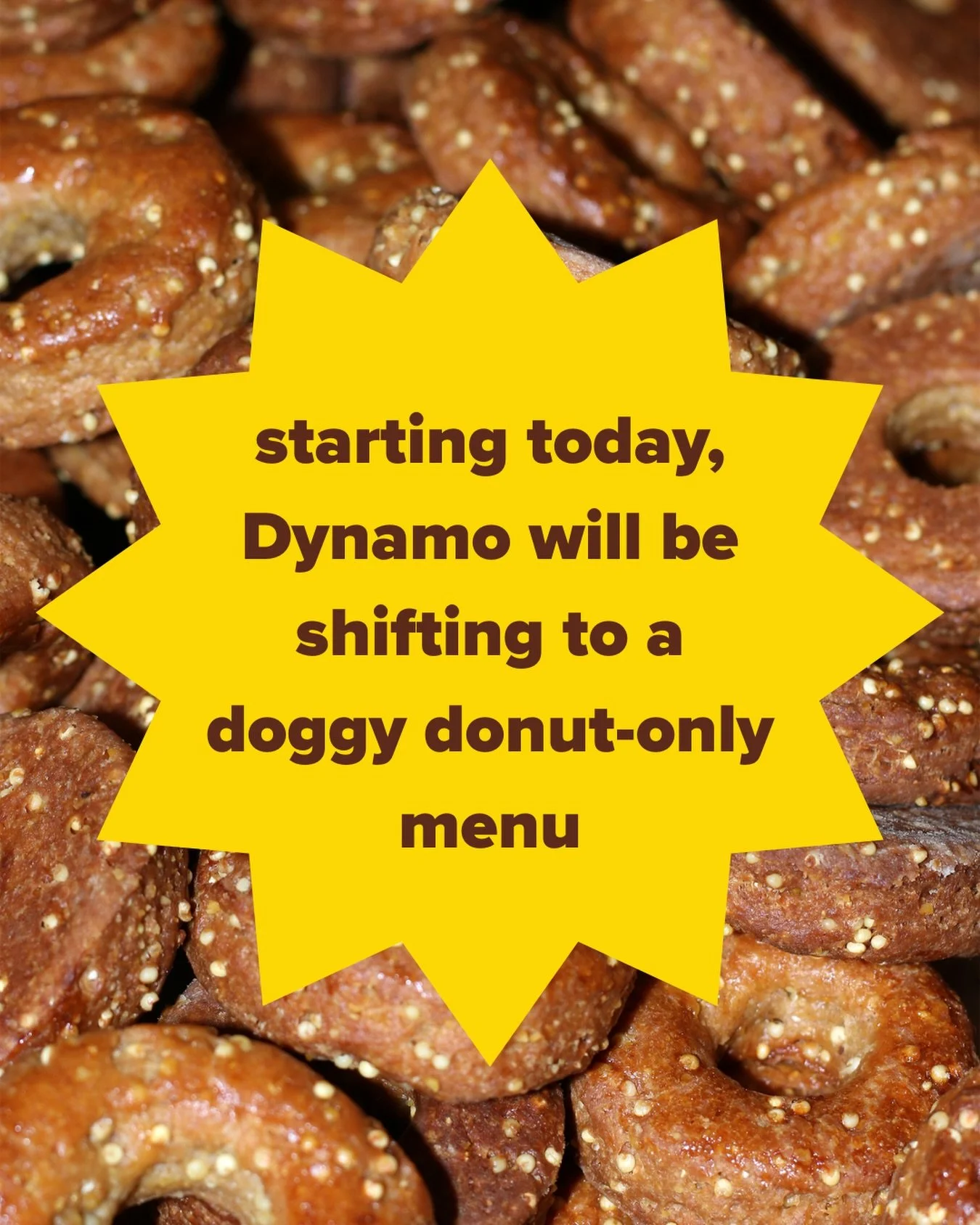 Big day for the Doggos! Same flavors on the menu, but  now they&rsquo;re all for dogs 🐶💕🍩
&bull;
&bull;
&bull;
&bull;
for legal reasons this is a joke 😝