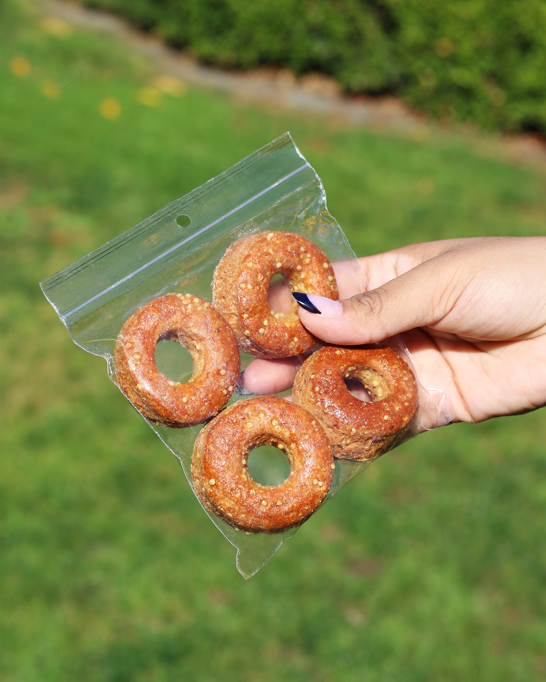 SCL-DOGGY-TOY-DONUT-PACK.png