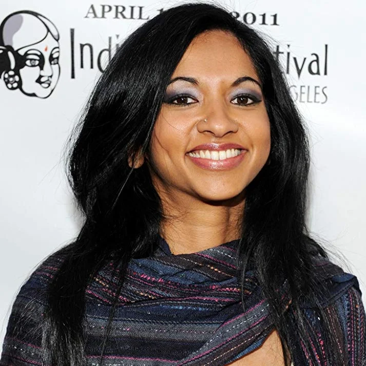 Gingger Shankar Board of Directors, Kollaboration
