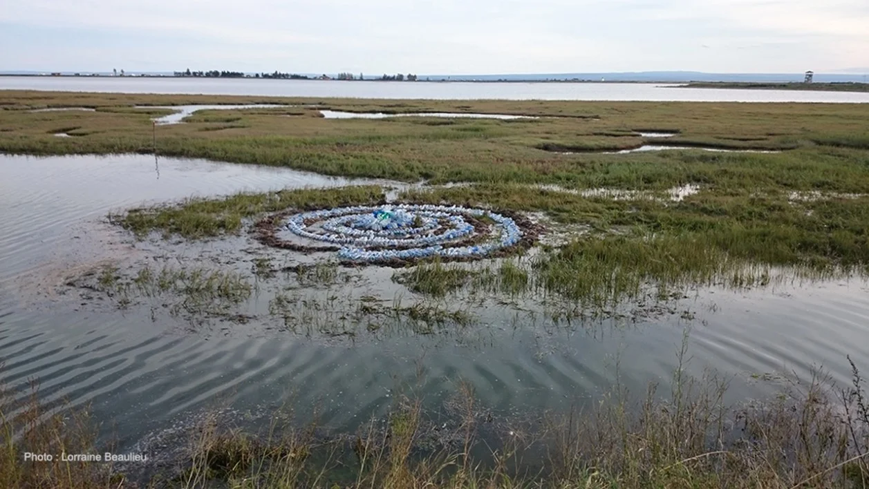 «Bleu Spirale»  2015