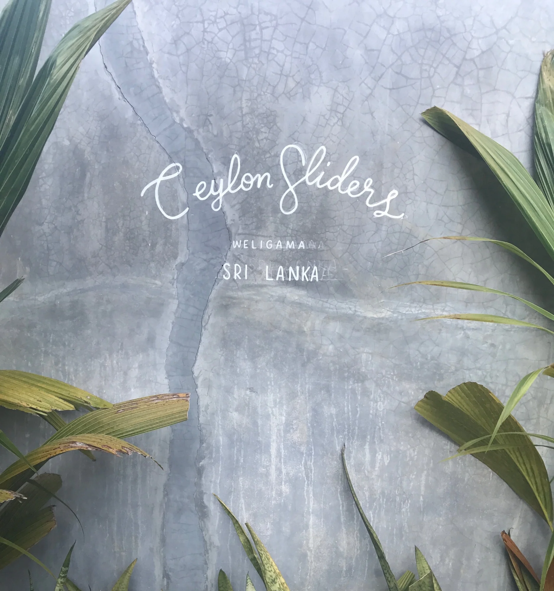 File_000 kopia (kopia).jpeg