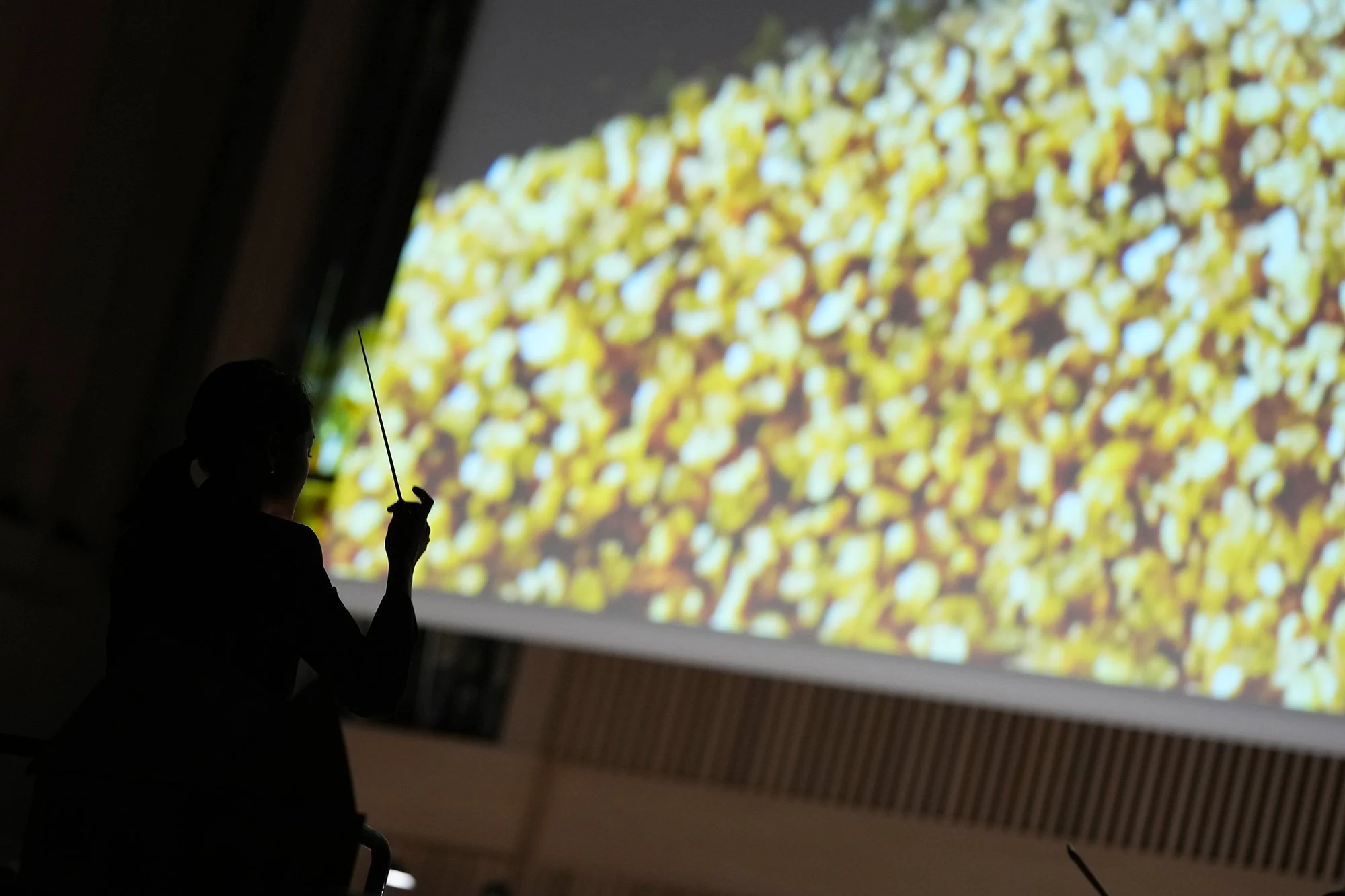 Reinhard_Winkler_Fotografie_Bilder_einer_Ausstellung (26).jpg