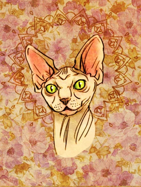 sphynx.jpg