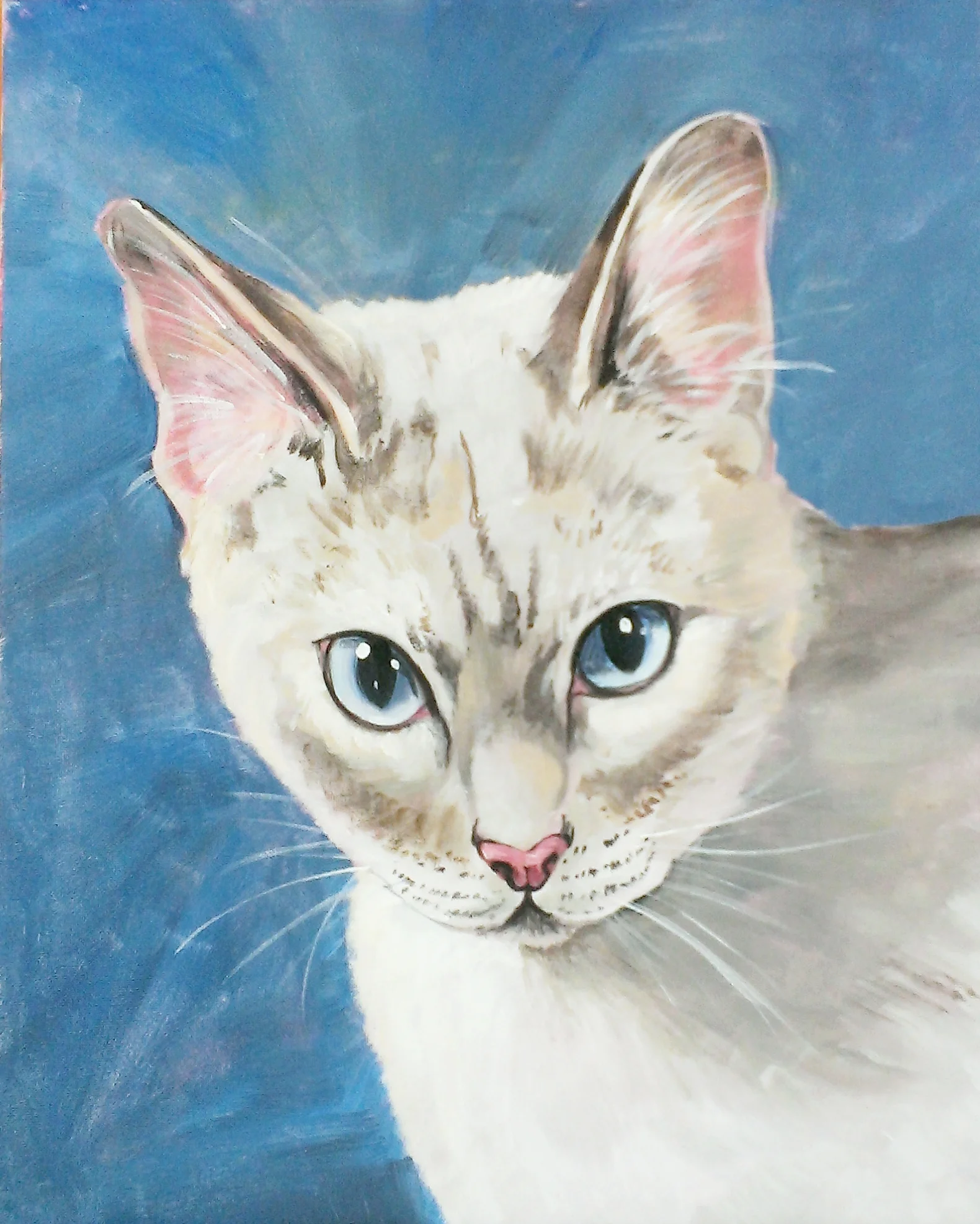 IMAG0743.jpg
