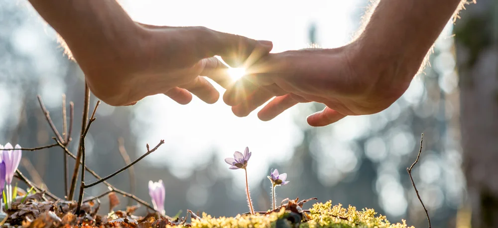 HealingHands2.jpg