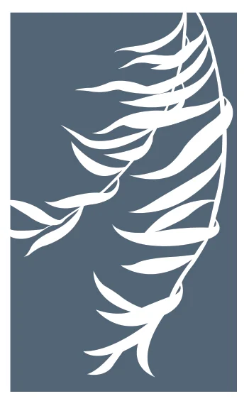 Willowood Healing Arts, Llc