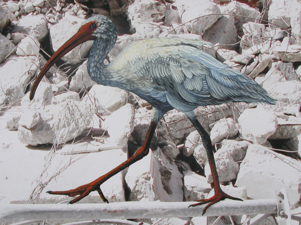 Detail, SPRINGTIME IN ALEXANDRIA V, 2011