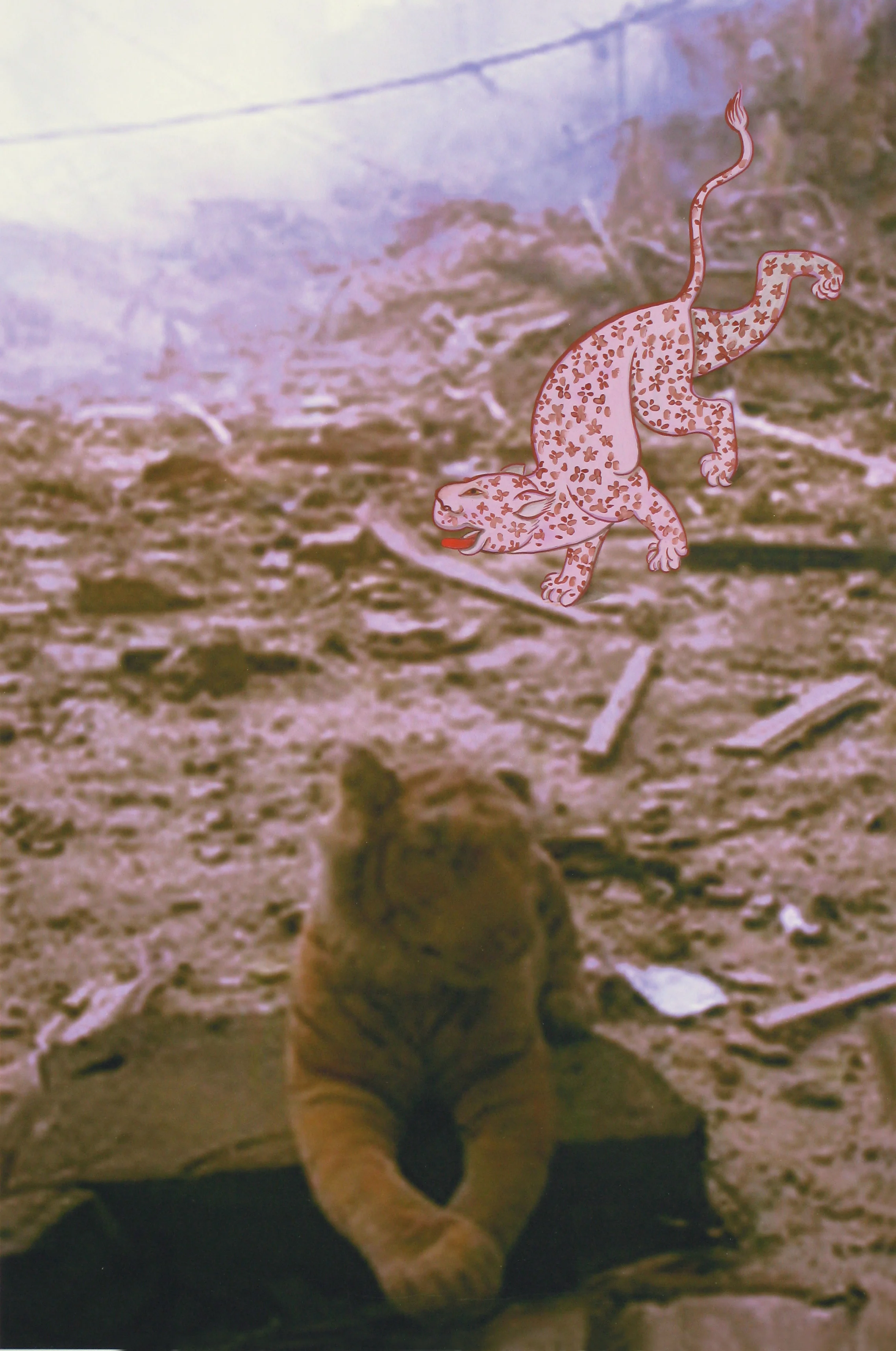 ROMPING IN THE RUINS