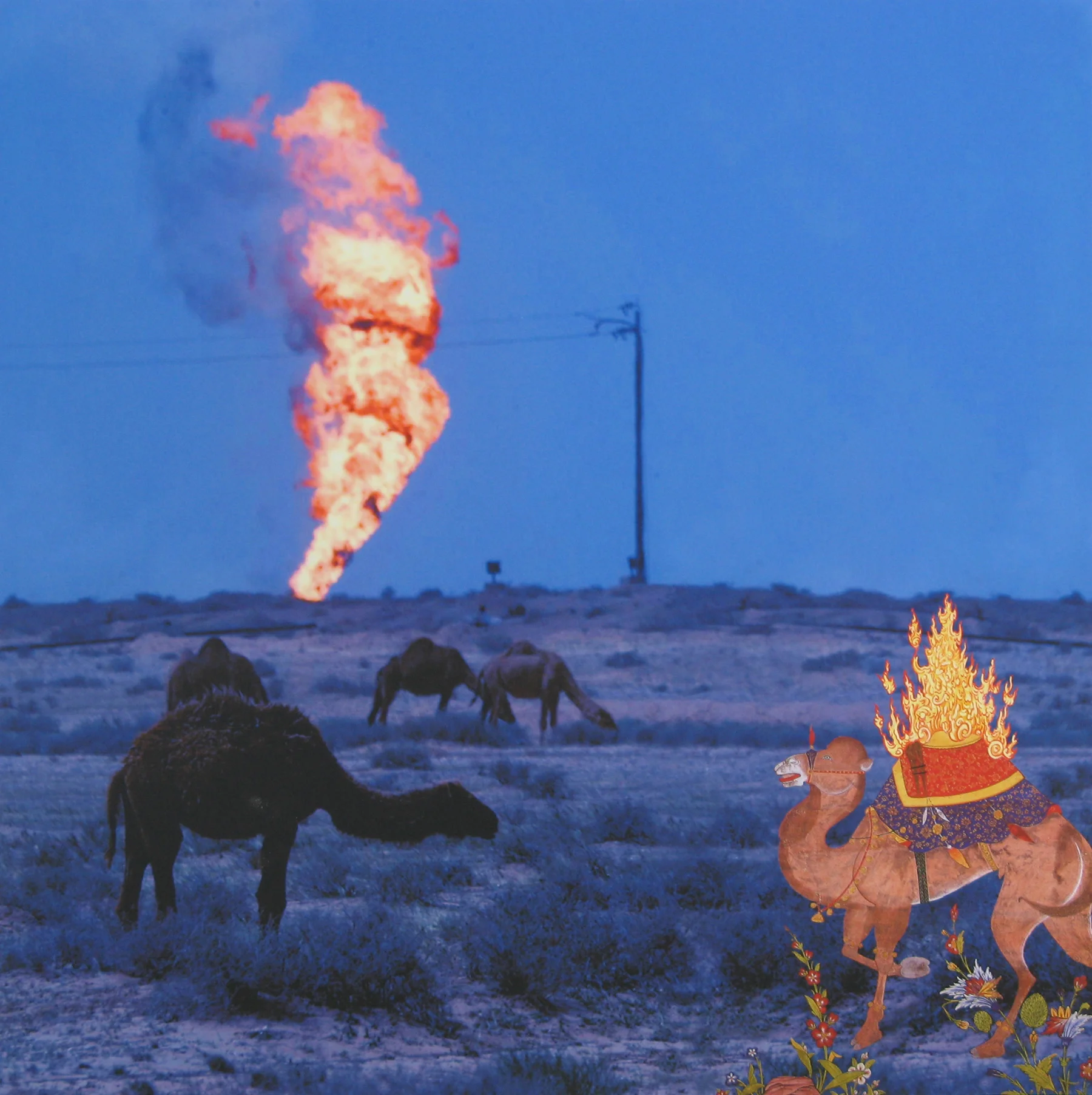 RECURRENCE: FLAMING CAMEL, 2008