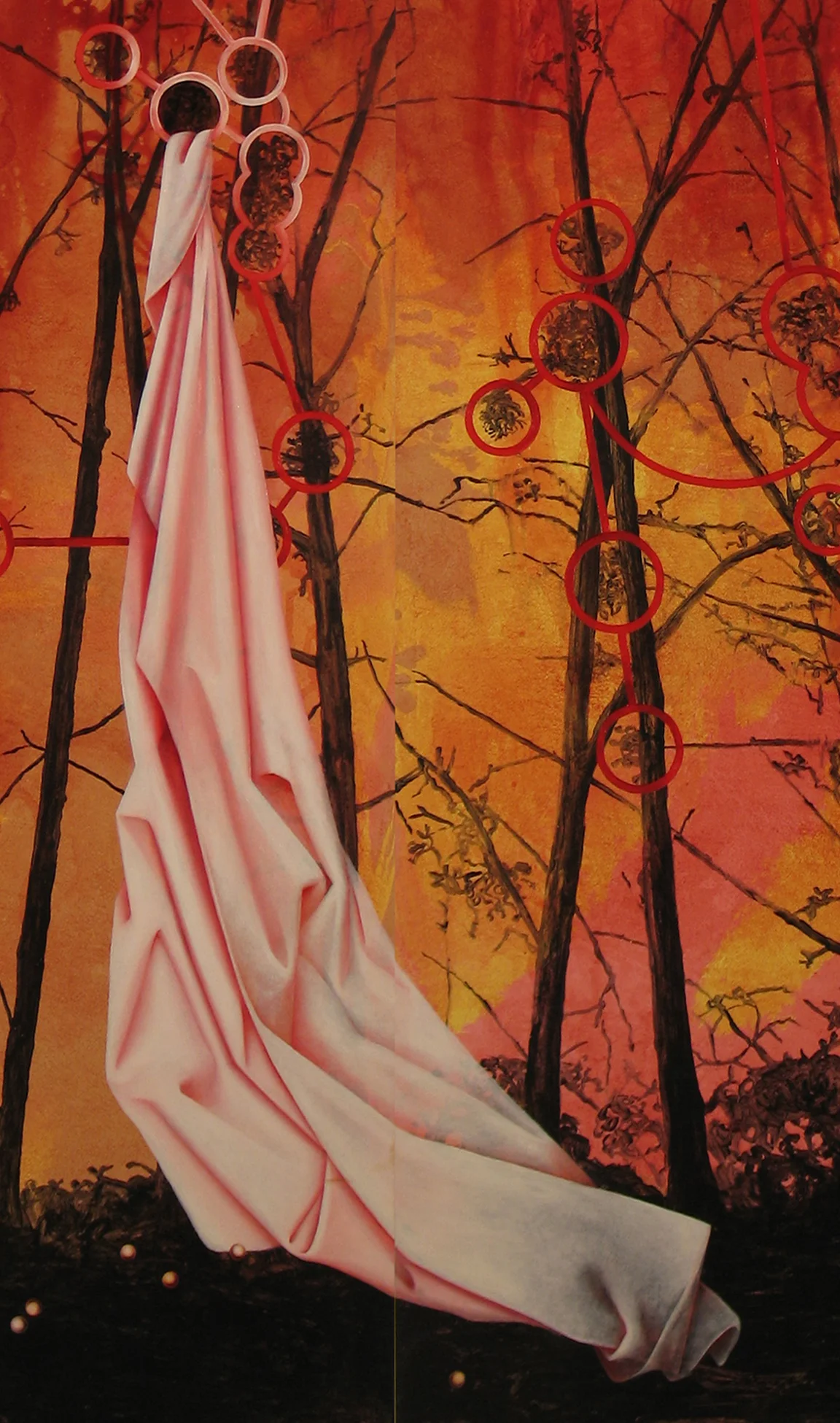SWOON 1998