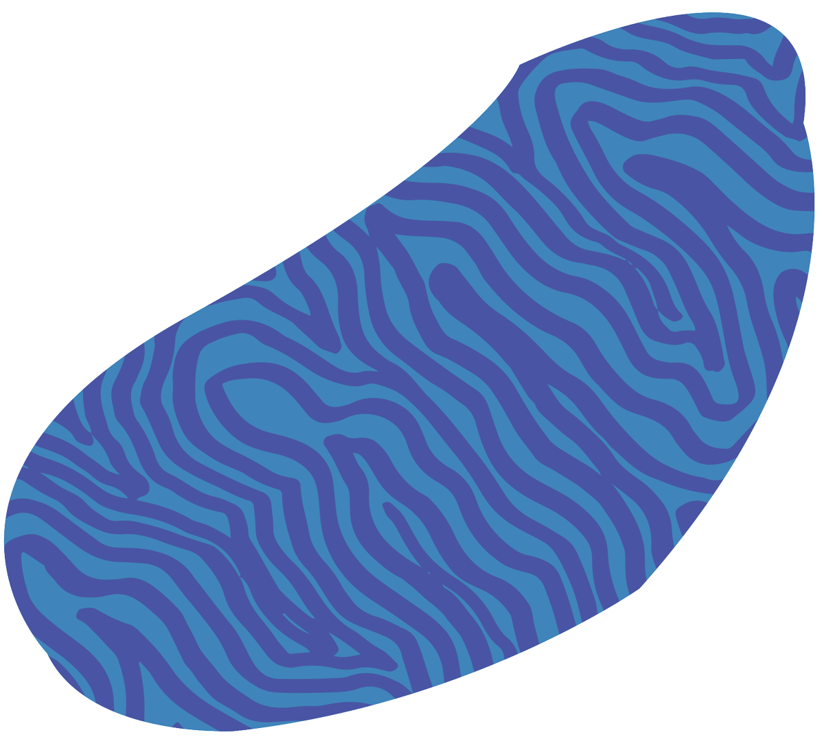 blob2.png