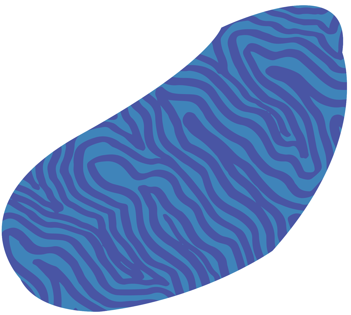 blob2.png