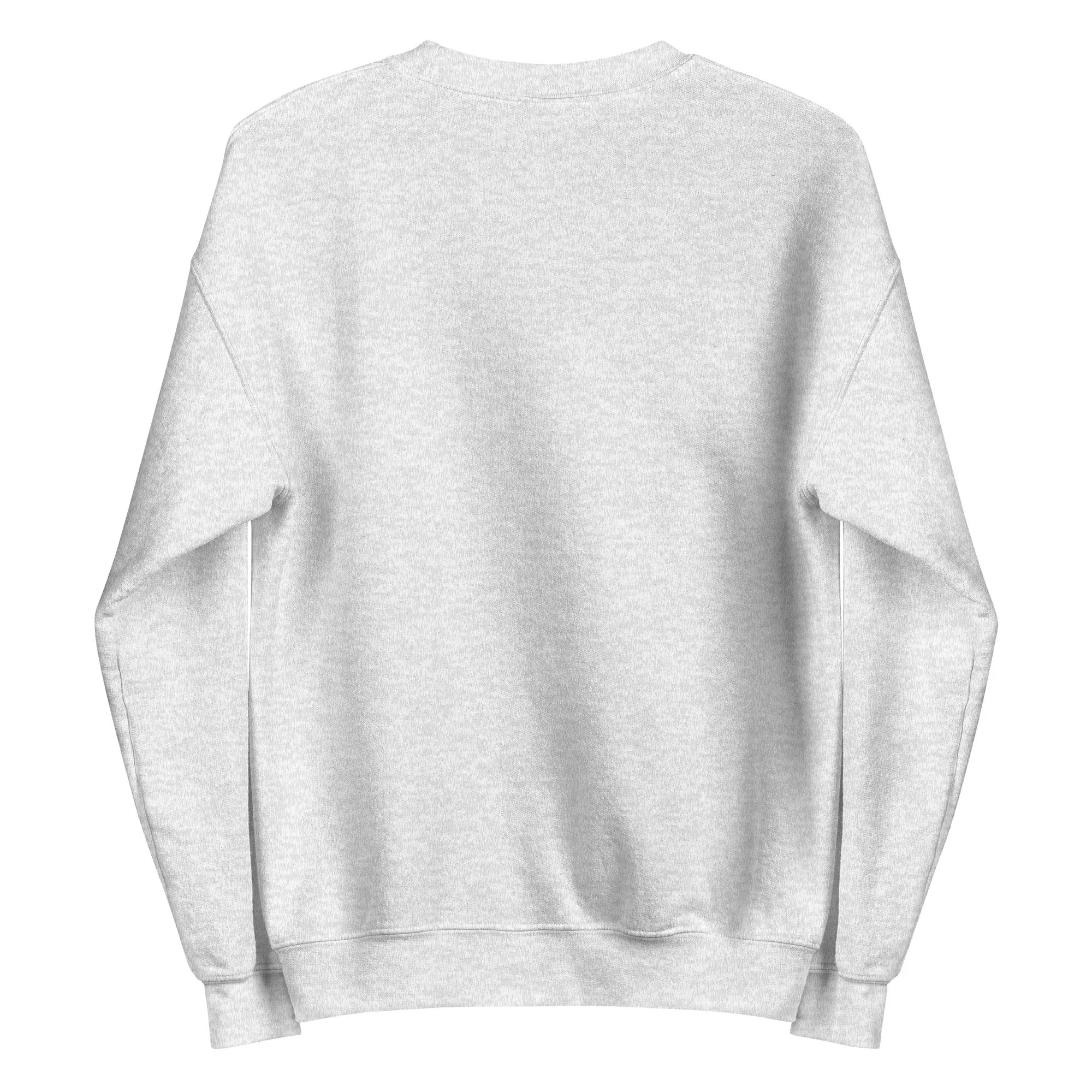 unisex-crew-neck-sweatshirt-ash-back-6924b660cb715.jpg