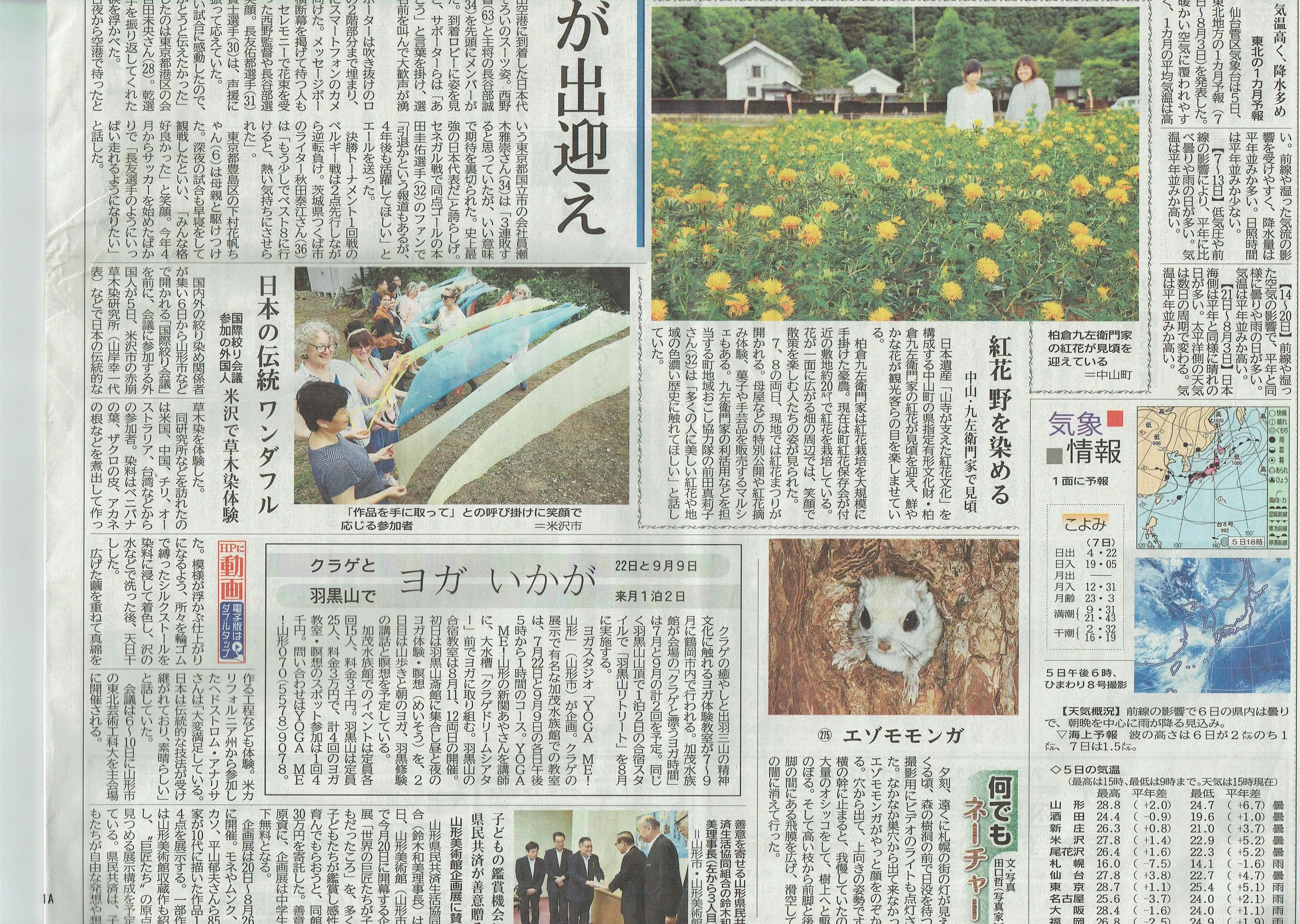 newspaper article 11iss.jpeg