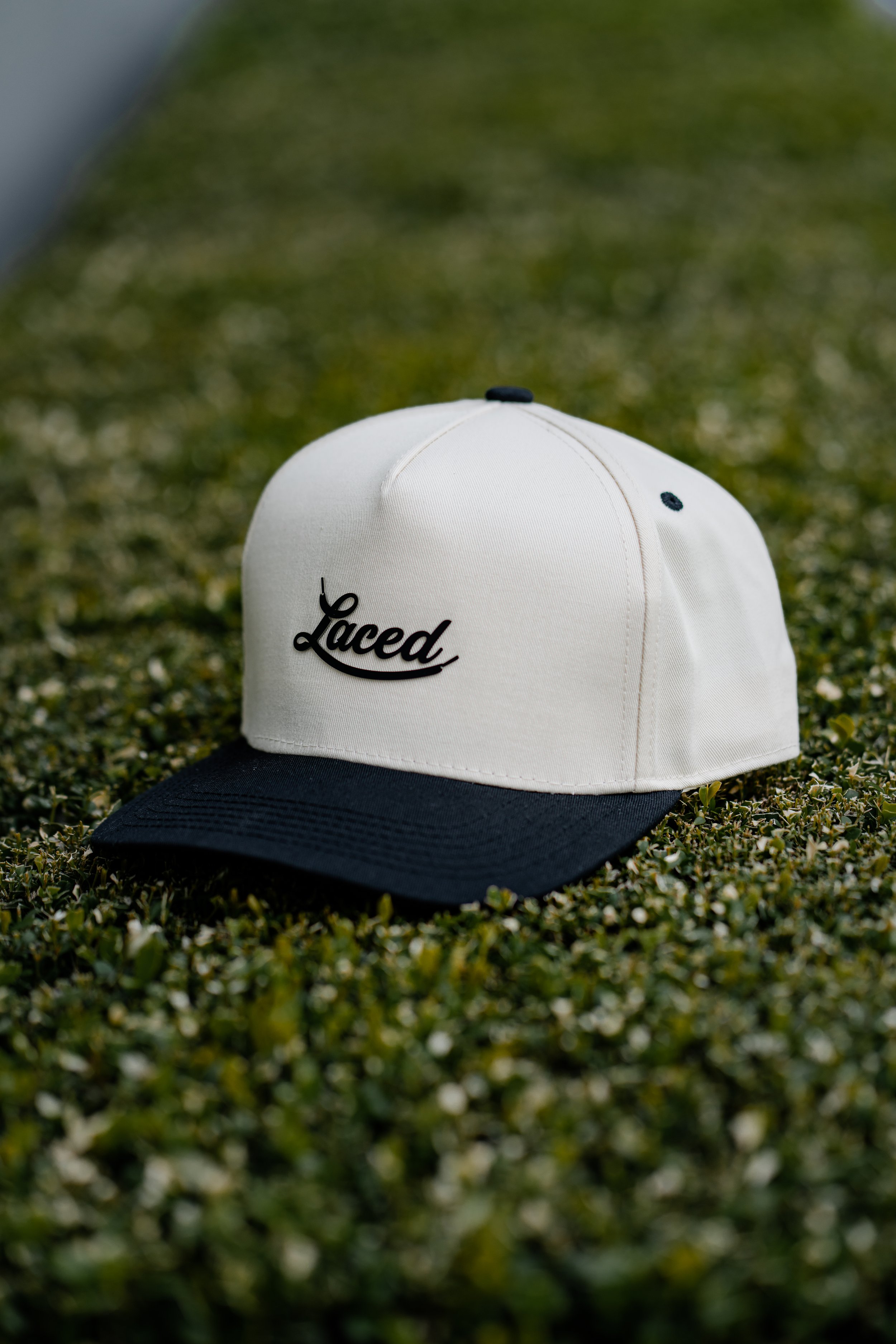 CREAM N BLACK - 2TONE LID