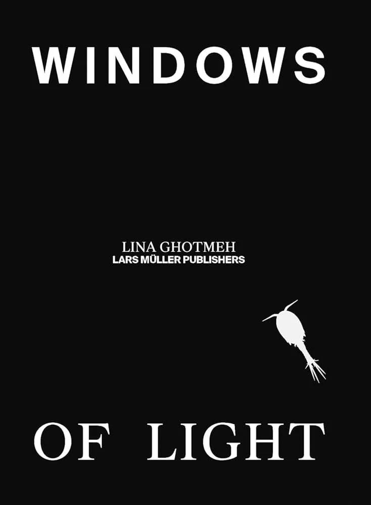 1. Windows of Light.jpg