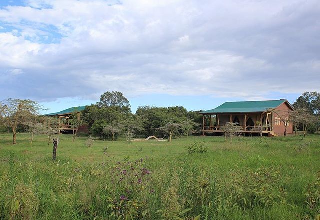 Blink and you'll miss them! Cottages 1A &amp; B tucked neatly into the bush 🍃 #wildplaces