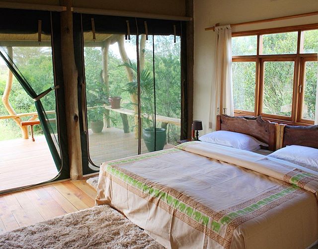 When you want to nap but you also want to enjoy the beautiful outdoors 🍃 Get the best of both worlds in our new single bedroom Safari Cottages 🐘 #wildluxury