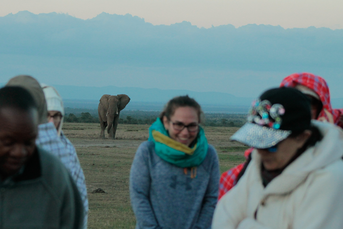 Elephant on a sundowner - Ol Pejeta Conservancy