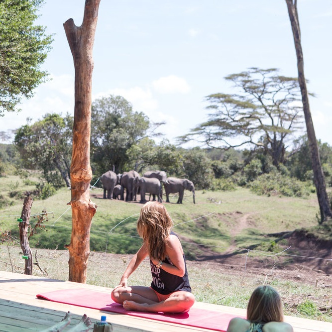 Yoga by Candace and her class's visitors