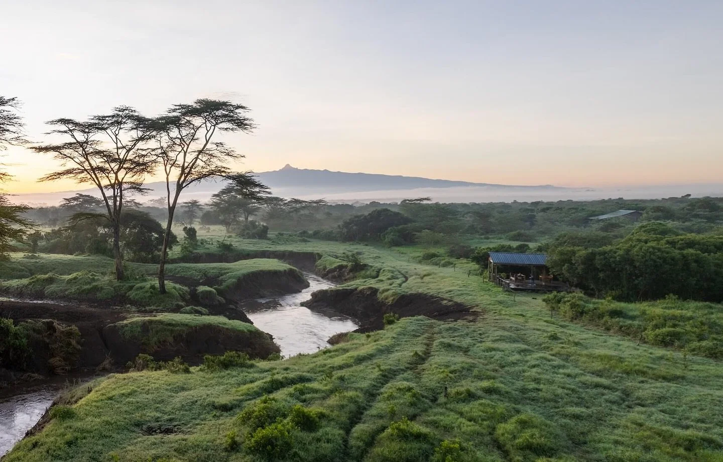 There&rsquo;s something truly magical about Ol Pejeta in December; the rush of the festive season feels a million miles away and we revel in the peace and quiet of the bush. If you&rsquo;re looking for an escape from the Christmas chaos this year, yo
