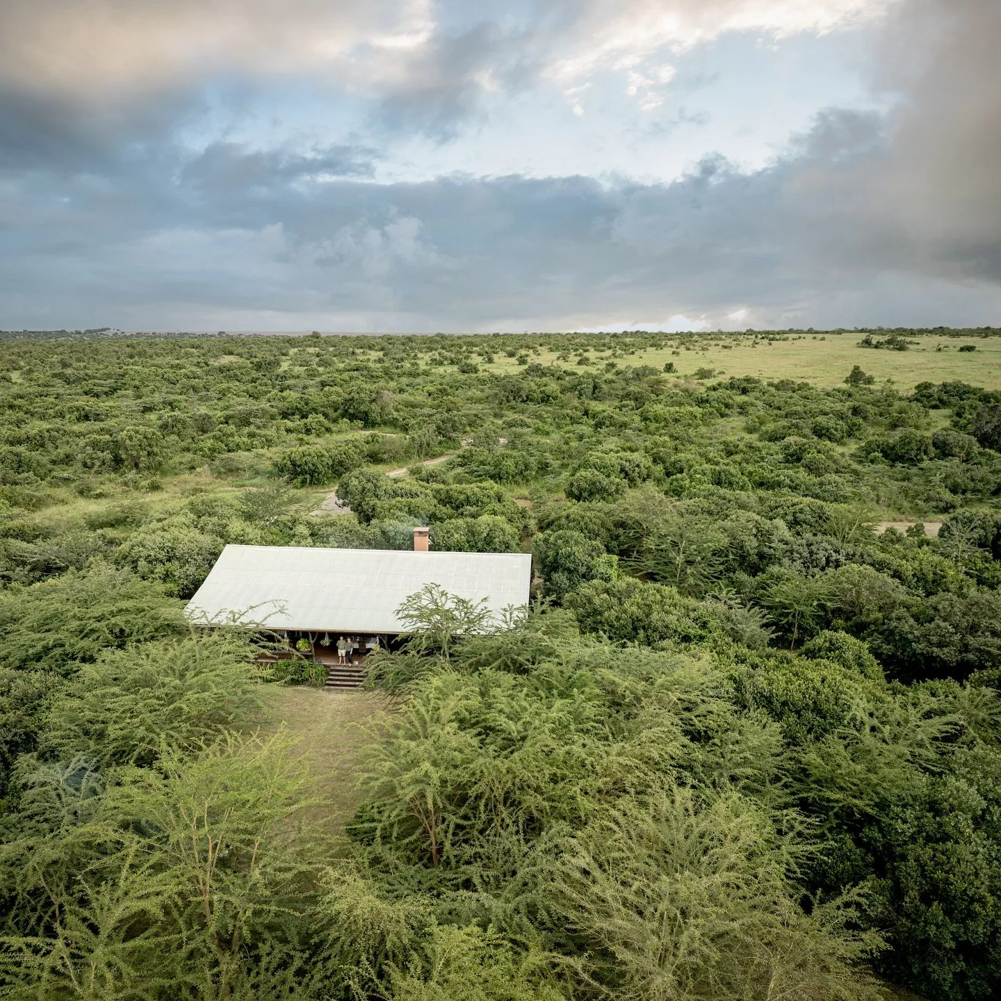 Rain glorious rain 💚 It&rsquo;s wonderful to watch the world around us turn so incredibly lush and green. The animals and birds seem to have an extra spring in their step and we do too! 

If you&rsquo;re wondering if you can visit us in the rainy se
