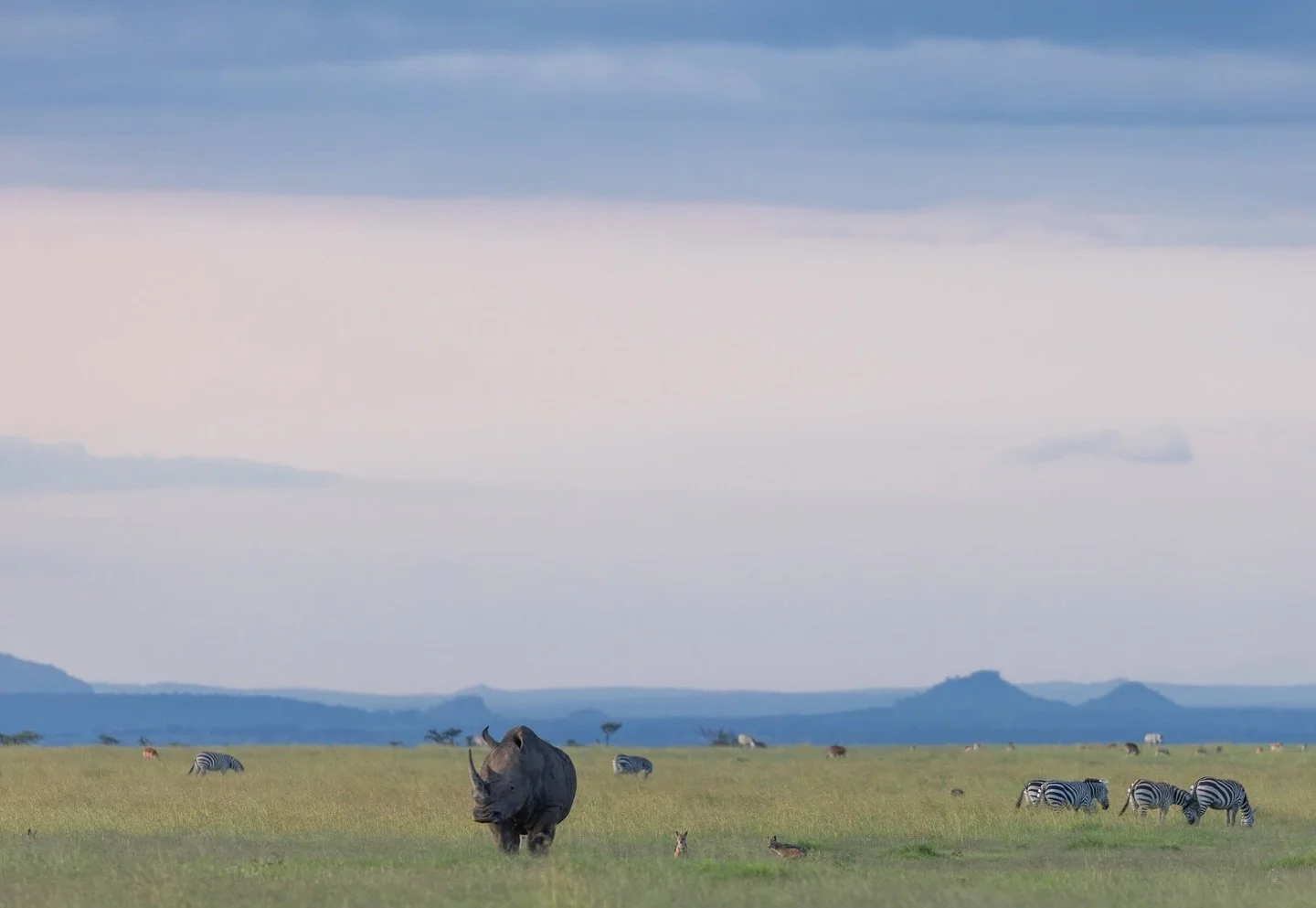 Tourism may come to a grinding halt on 01 April but life at @thesafaricottages continues as always&hellip; just a little muddier 🤎 

Our latest blog will give you 5 good reasons to choose to travel out of season, brave the weather and book your Keny