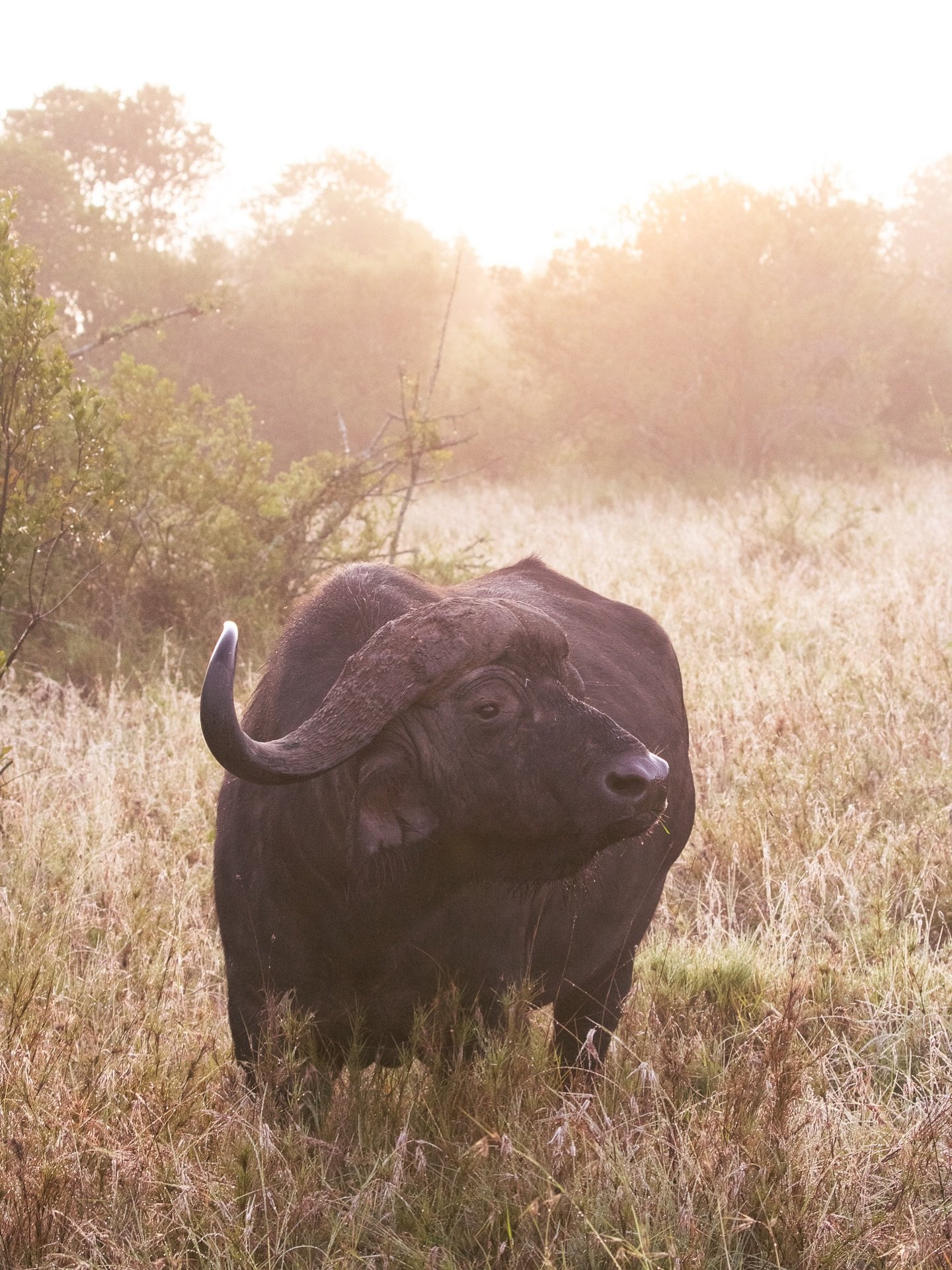 Take refuge in your senses, open up
To the small miracles you rushed through.

Become inclined to watch the way of rain
When it falls slow and free.

Imitate the habit of twilight,
Taking time to open the well of colour 
That fostered the brightness 