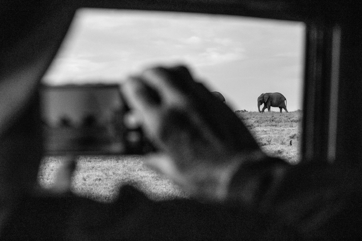 A question we get a lot is, &ldquo;do I need to buy a big fancy camera for my safari?&rdquo; And the answer is, maybe! Smart phones these days can offer you excellent image quality and many have great zoom functions too, making it easy enough to capt