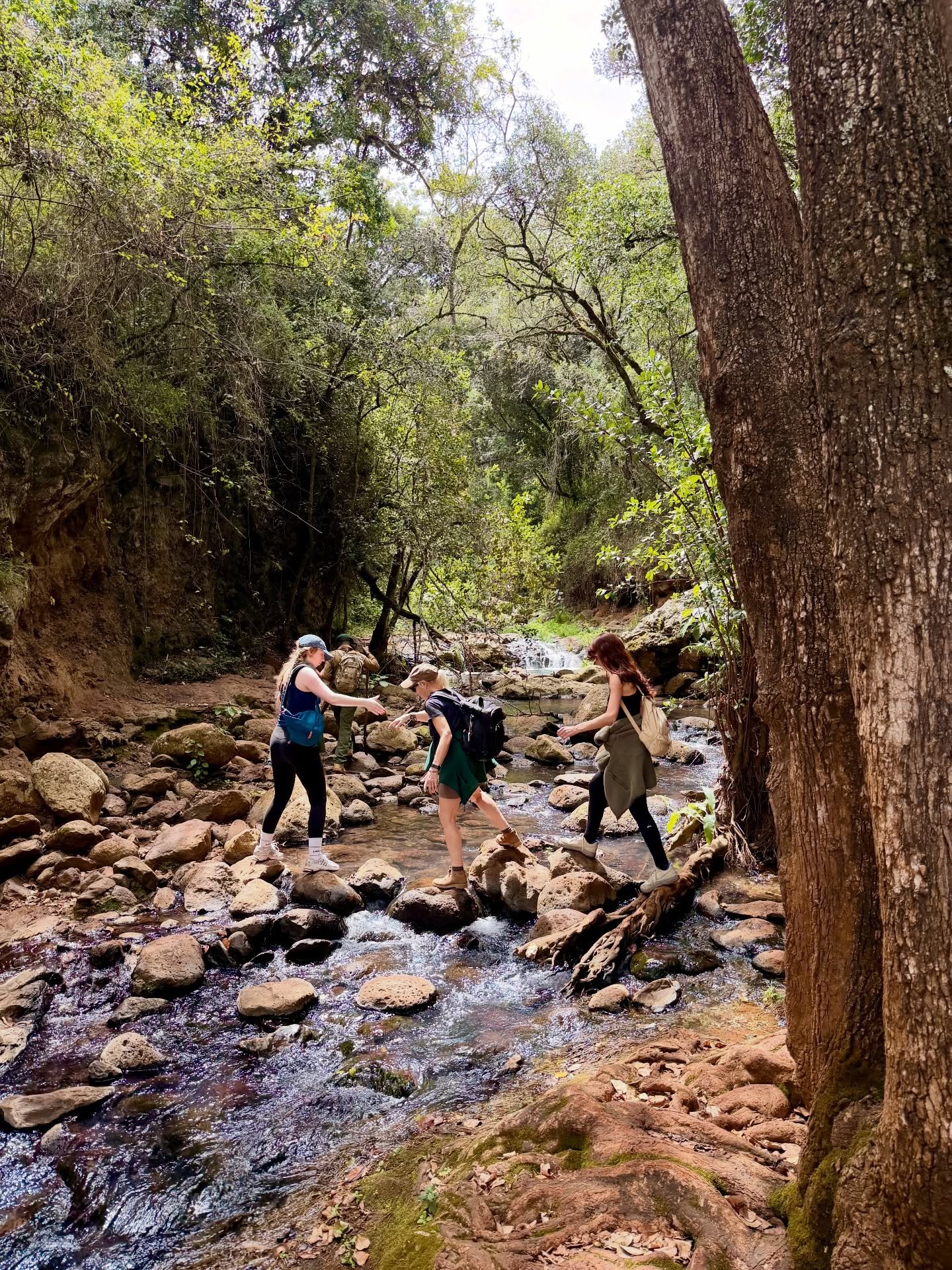 Back in December, as part of their week-long stay with us, @yoga_for_the_wild headed out for a fun filled day out at the near by Ngare Ndare forest 💙 It started with a guided hike learning about plants, trees, birds and smaller creatures on the way.