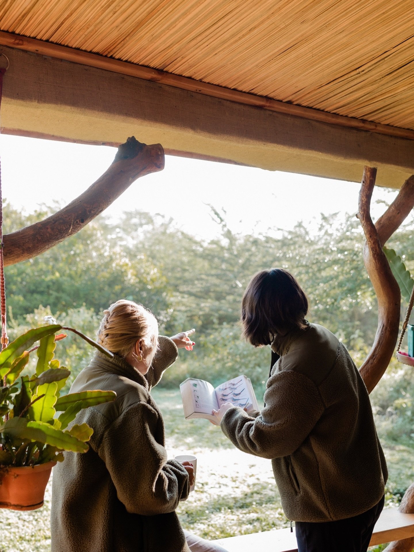 Whether you&rsquo;re a dedicated birder with an extensive birding list, the birder who loves to obsess over the LBJs (little brown jobs) or simply someone who enjoys spotting wildlife in all its forms, birdwatching at Ol Pejeta offers all safari-goer