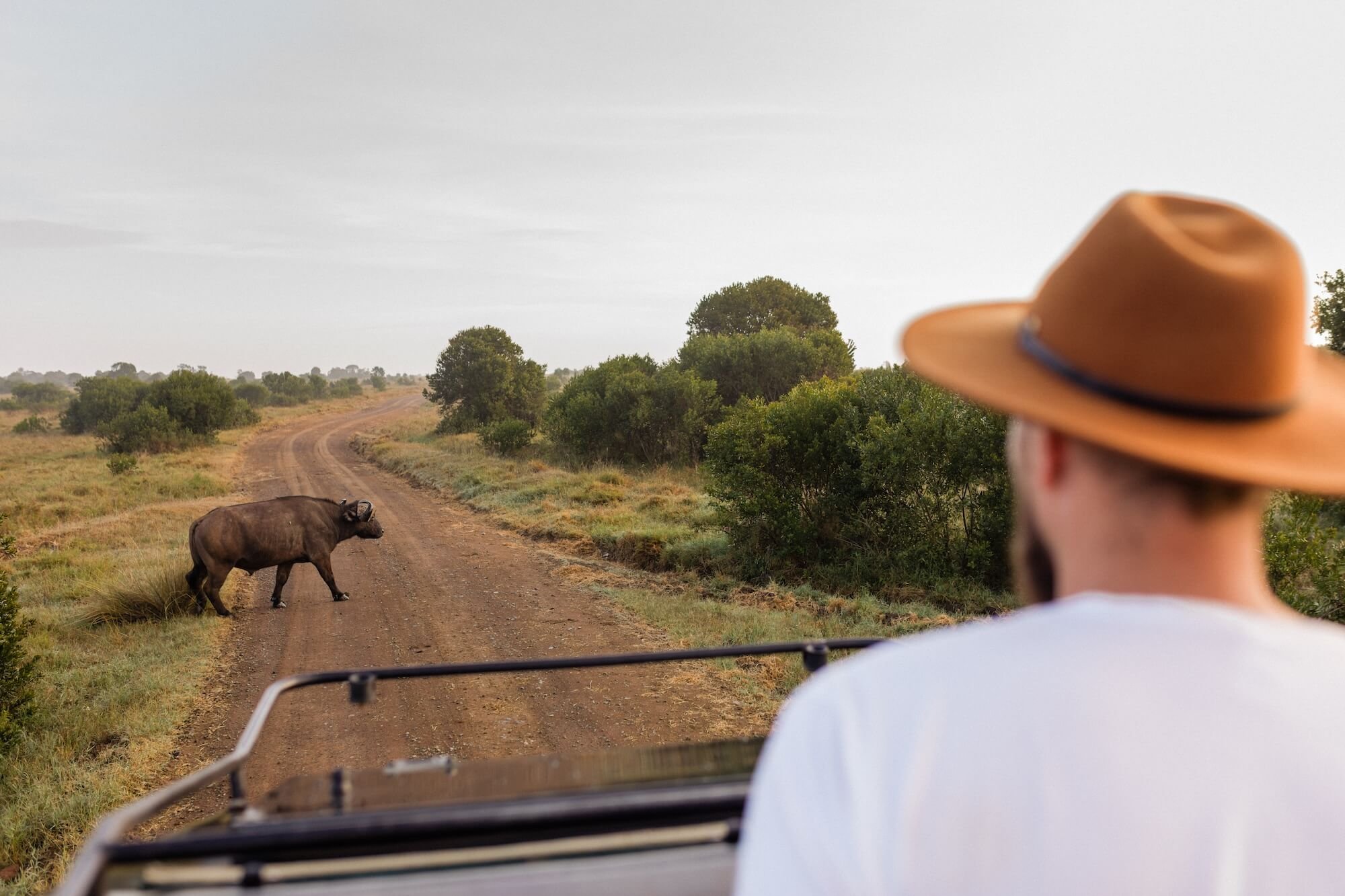 Driving to Ol Pejeta: A Scenic Safari Road Trip Guide