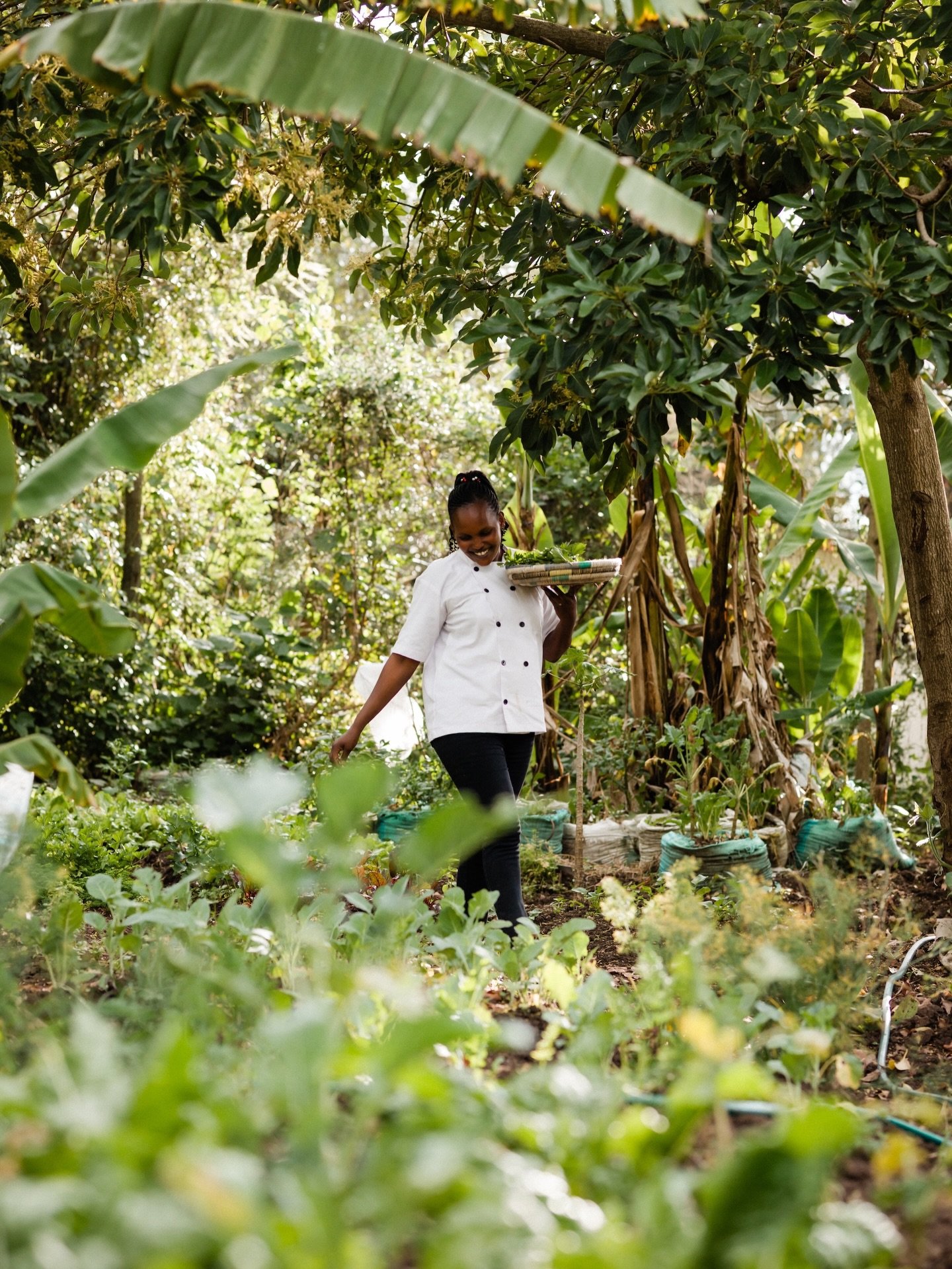 Homegrown 💚 

We try to source most of our salad, veg, herbs and fresh fruit from our local garden, which our chefs tend to with diligent green fingers each day. During your stay you&rsquo;re invited for a behind the scenes tour of our garden to see